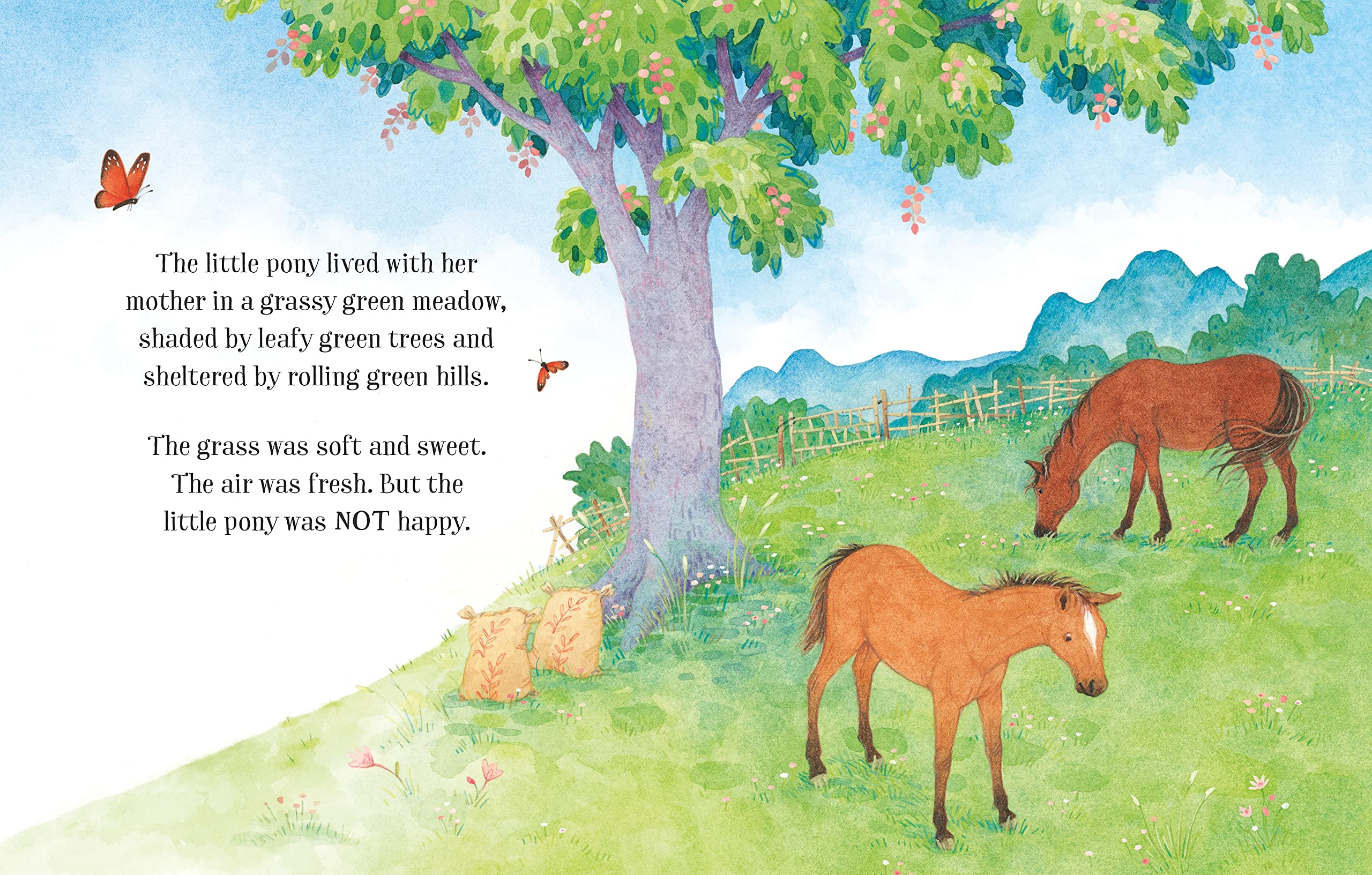 stories of horses and ponies for little children