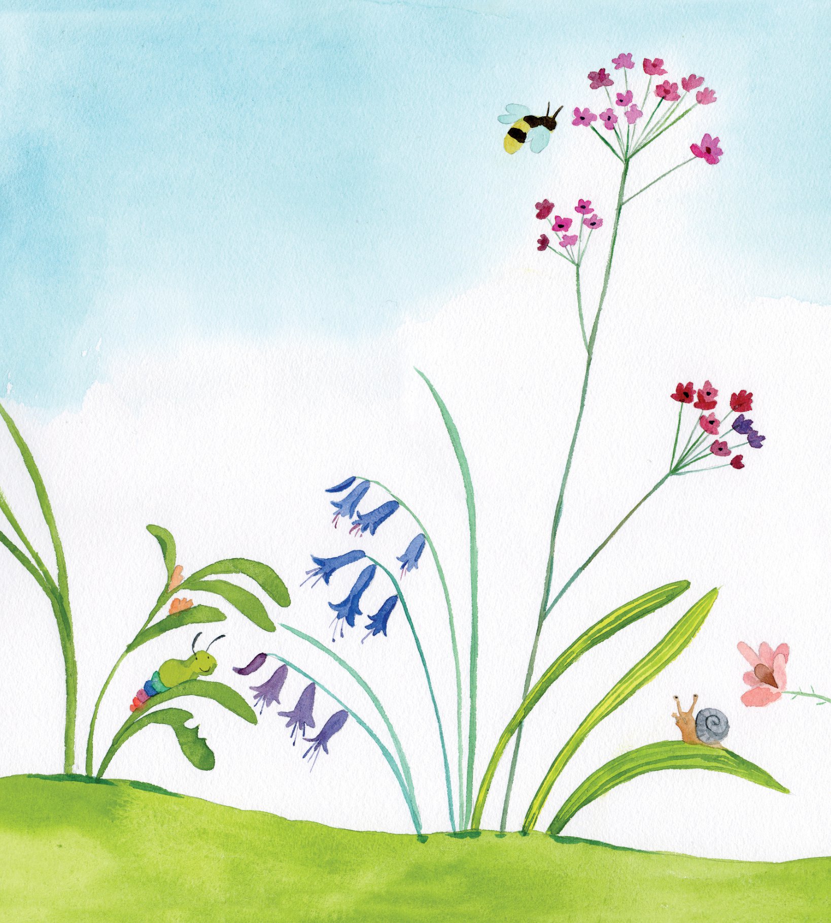 storytime - truyện hay phát triển trí tuệ - ai phá vườn hoa của cô nhím?