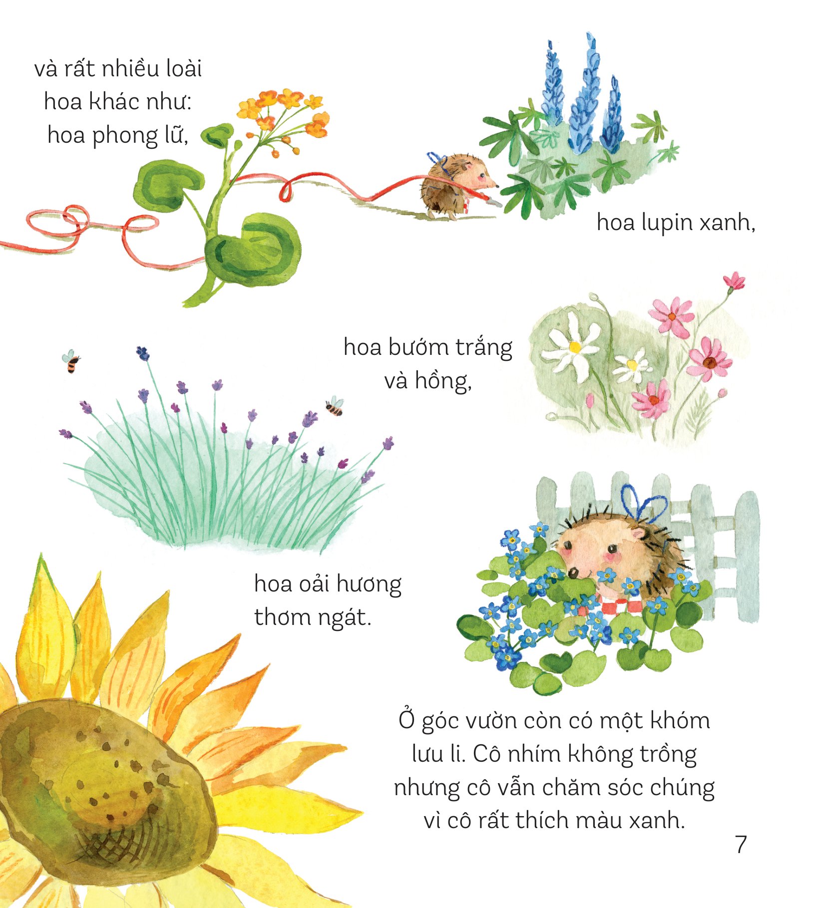 storytime - truyện hay phát triển trí tuệ - ai phá vườn hoa của cô nhím?