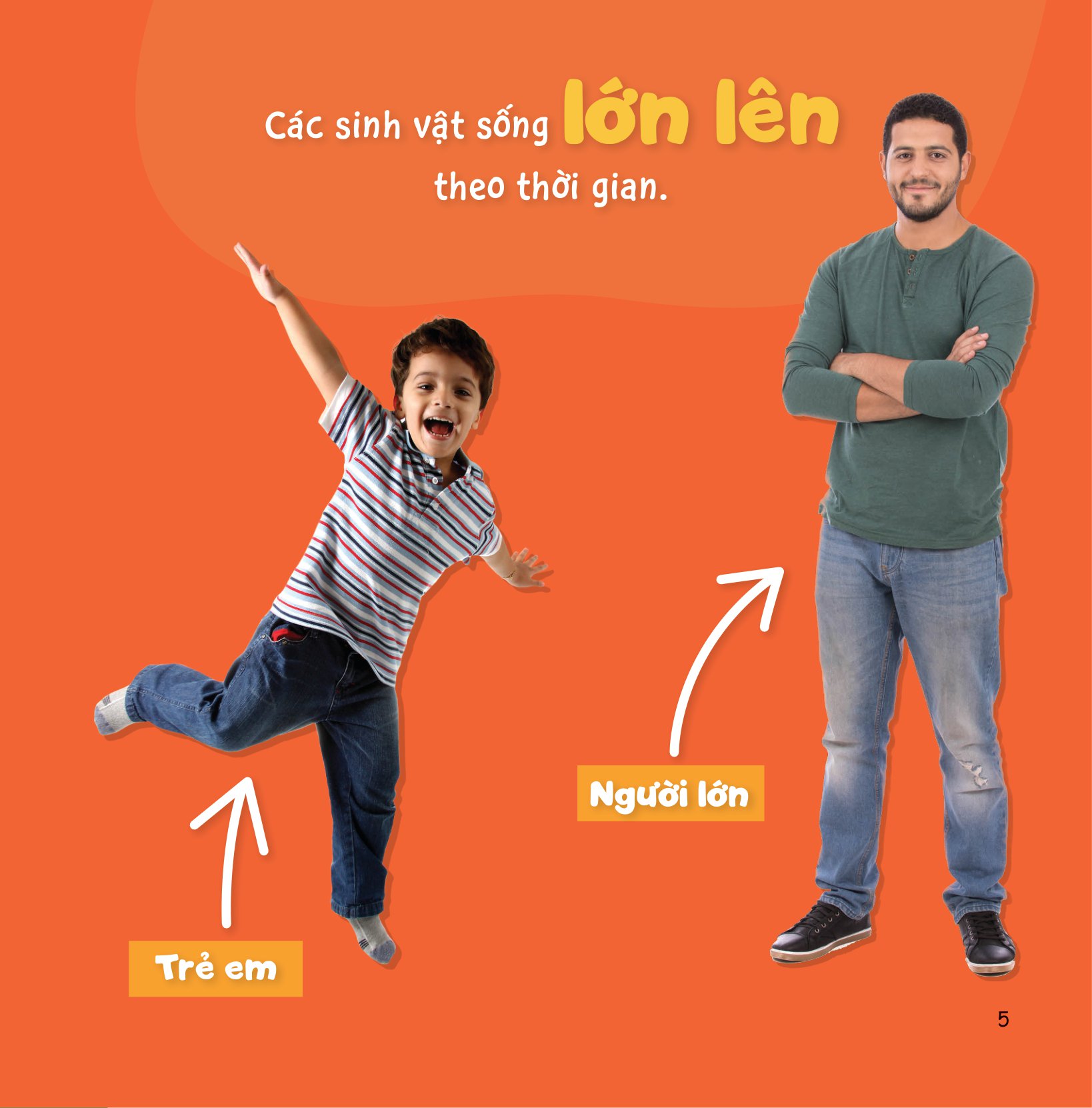 sự sinh trưởng kỳ diệu của vạn vật - vòng đời của bướm