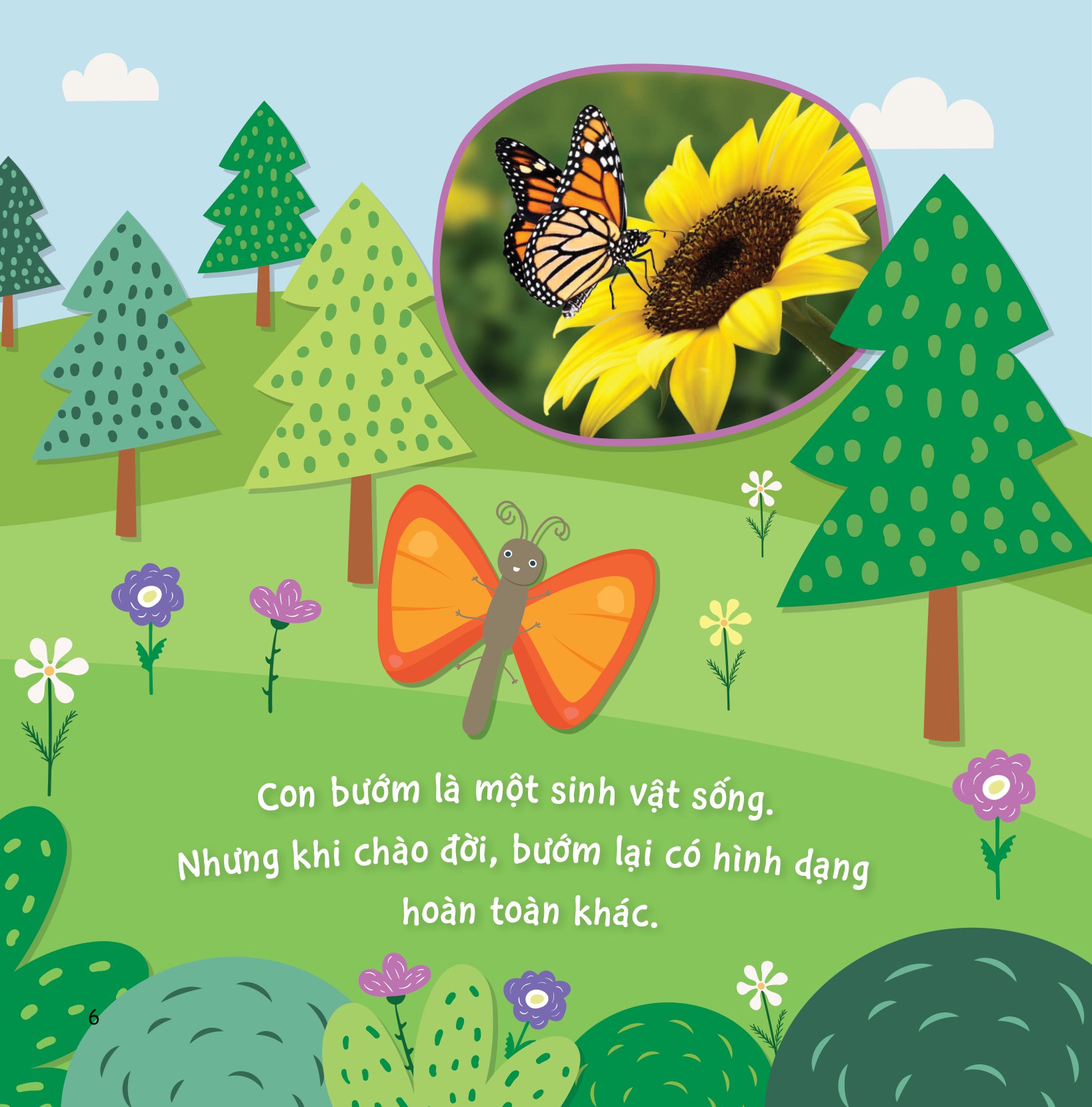 sự sinh trưởng kỳ diệu của vạn vật - vòng đời của bướm