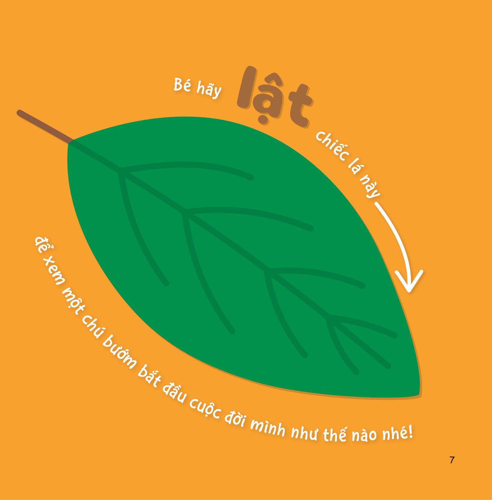 sự sinh trưởng kỳ diệu của vạn vật - vòng đời của bướm