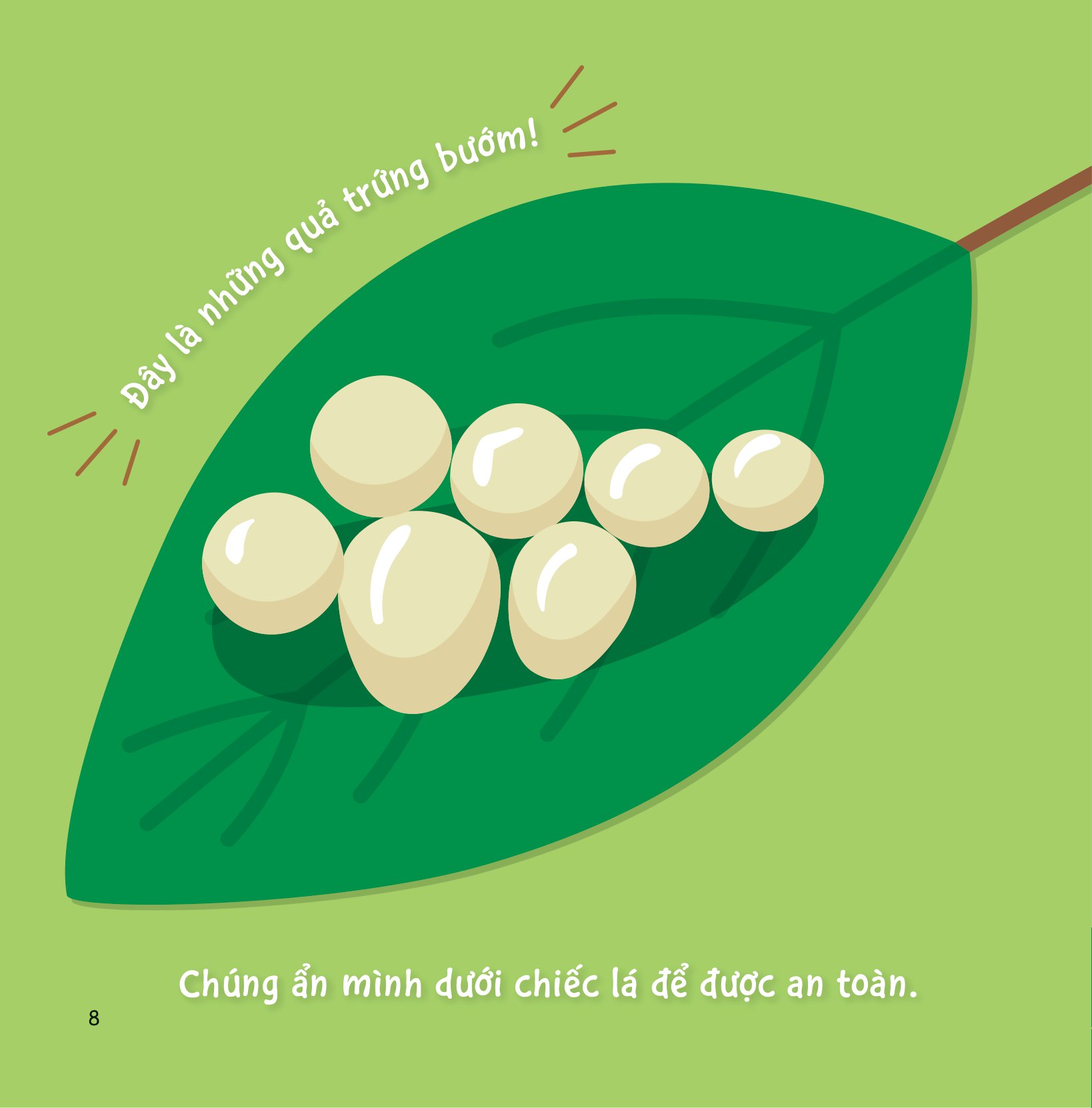 sự sinh trưởng kỳ diệu của vạn vật - vòng đời của bướm