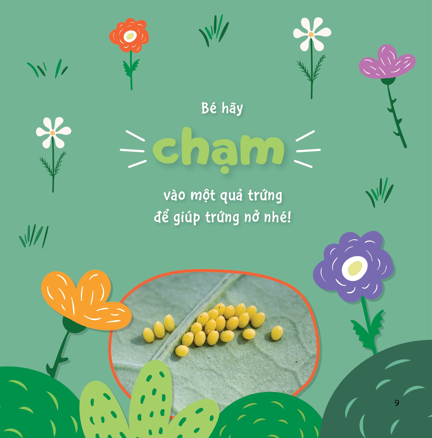 sự sinh trưởng kỳ diệu của vạn vật - vòng đời của bướm