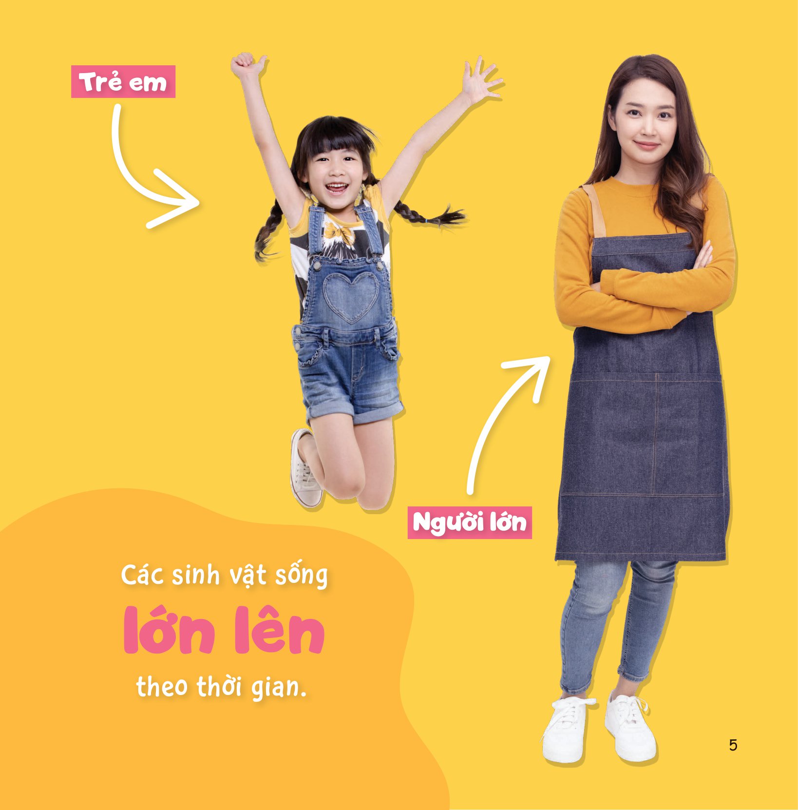 sự sinh trưởng kỳ diệu của vạn vật - vòng đời của cây