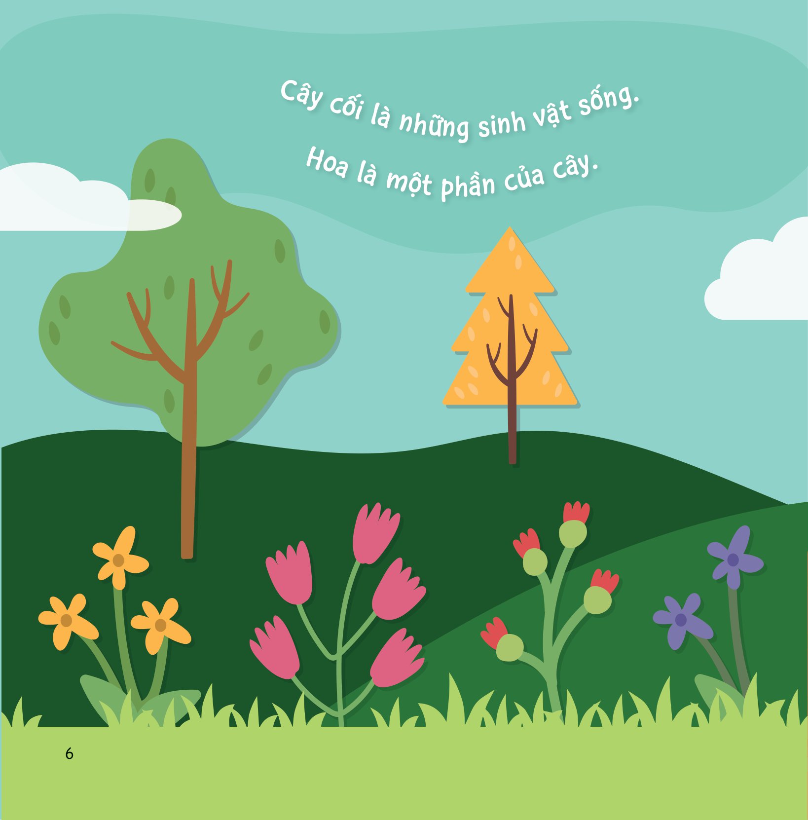 sự sinh trưởng kỳ diệu của vạn vật - vòng đời của cây