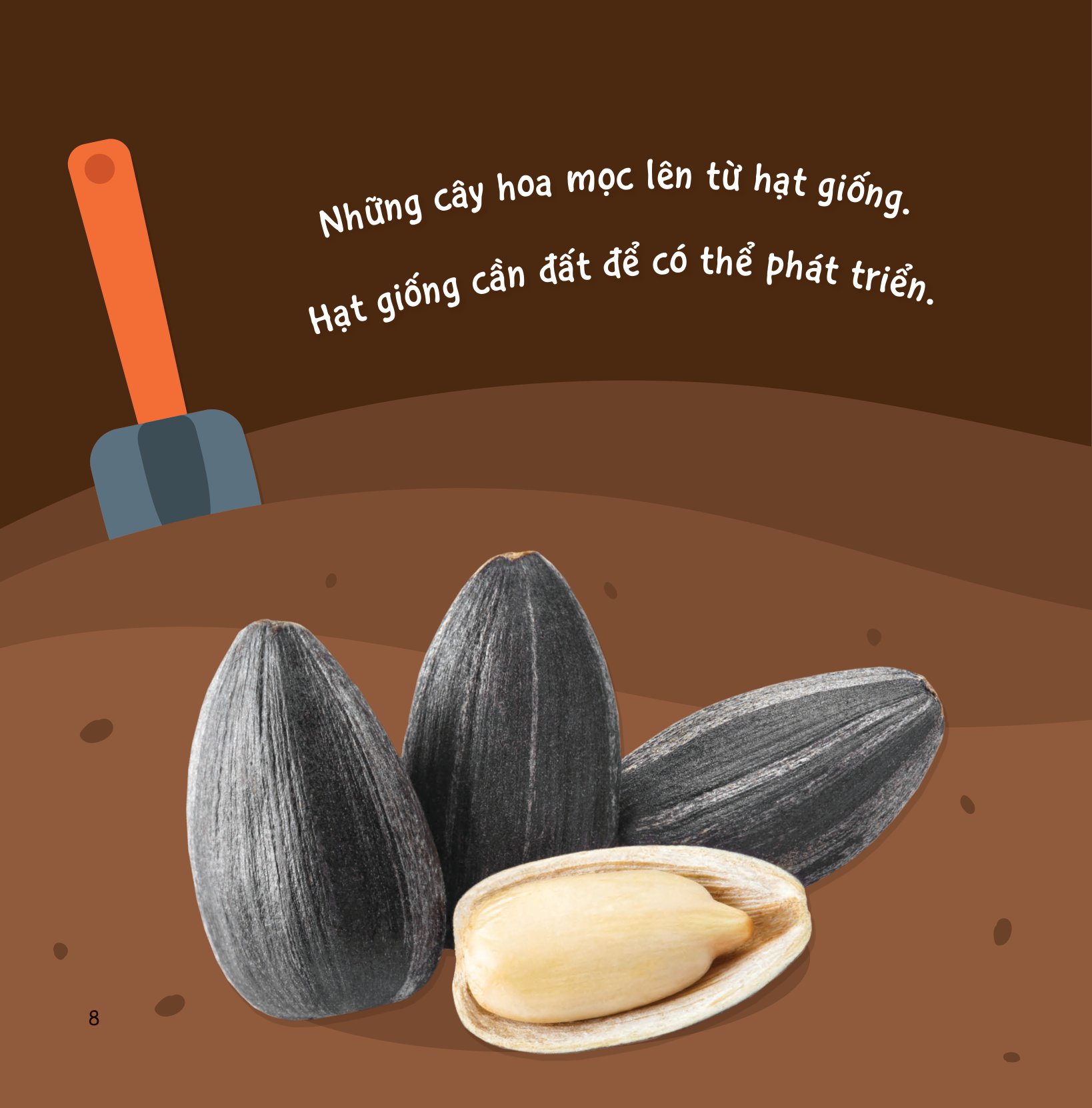 sự sinh trưởng kỳ diệu của vạn vật - vòng đời của cây