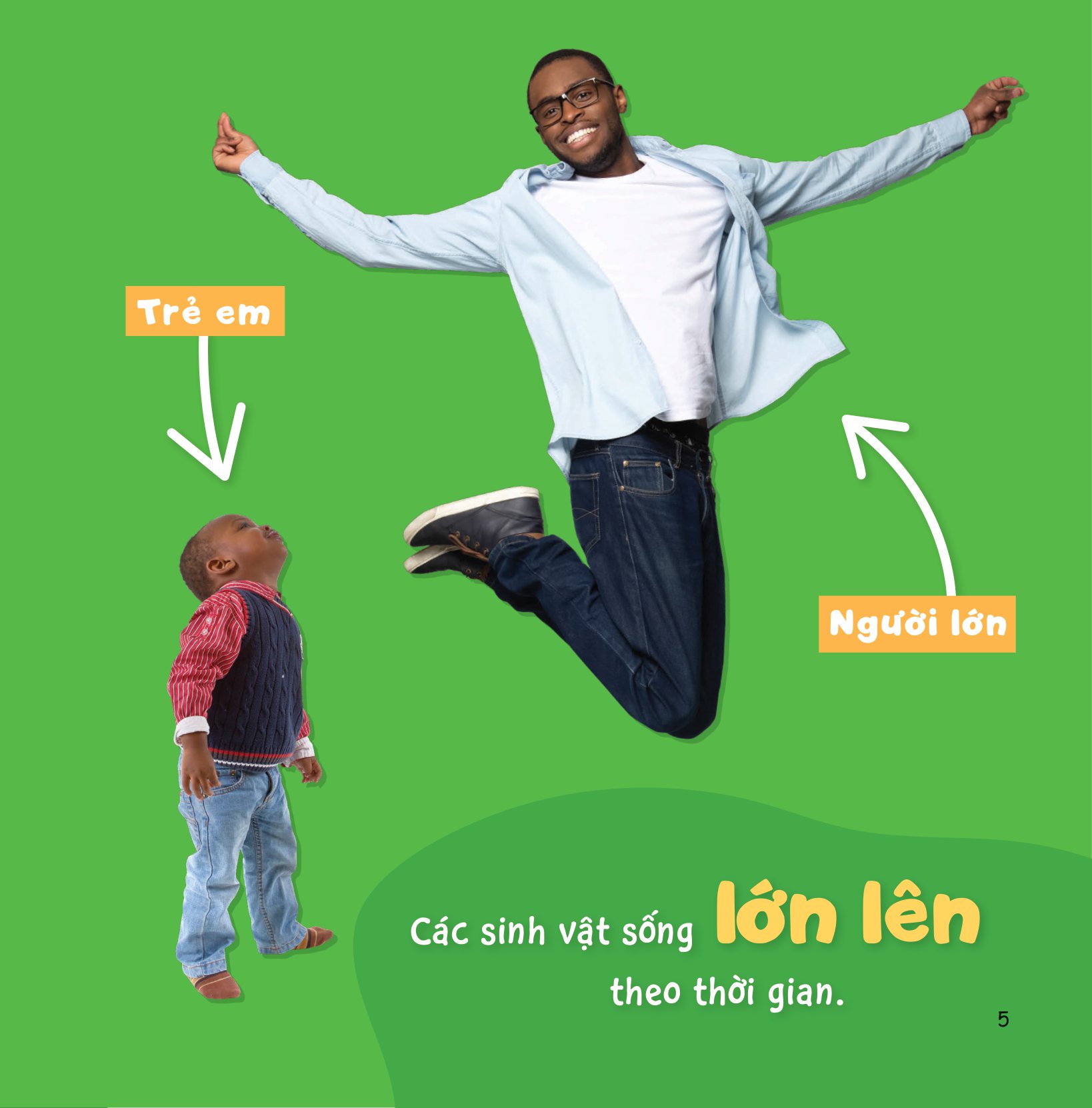 sự sinh trưởng kỳ diệu của vạn vật - vòng đời của ếch