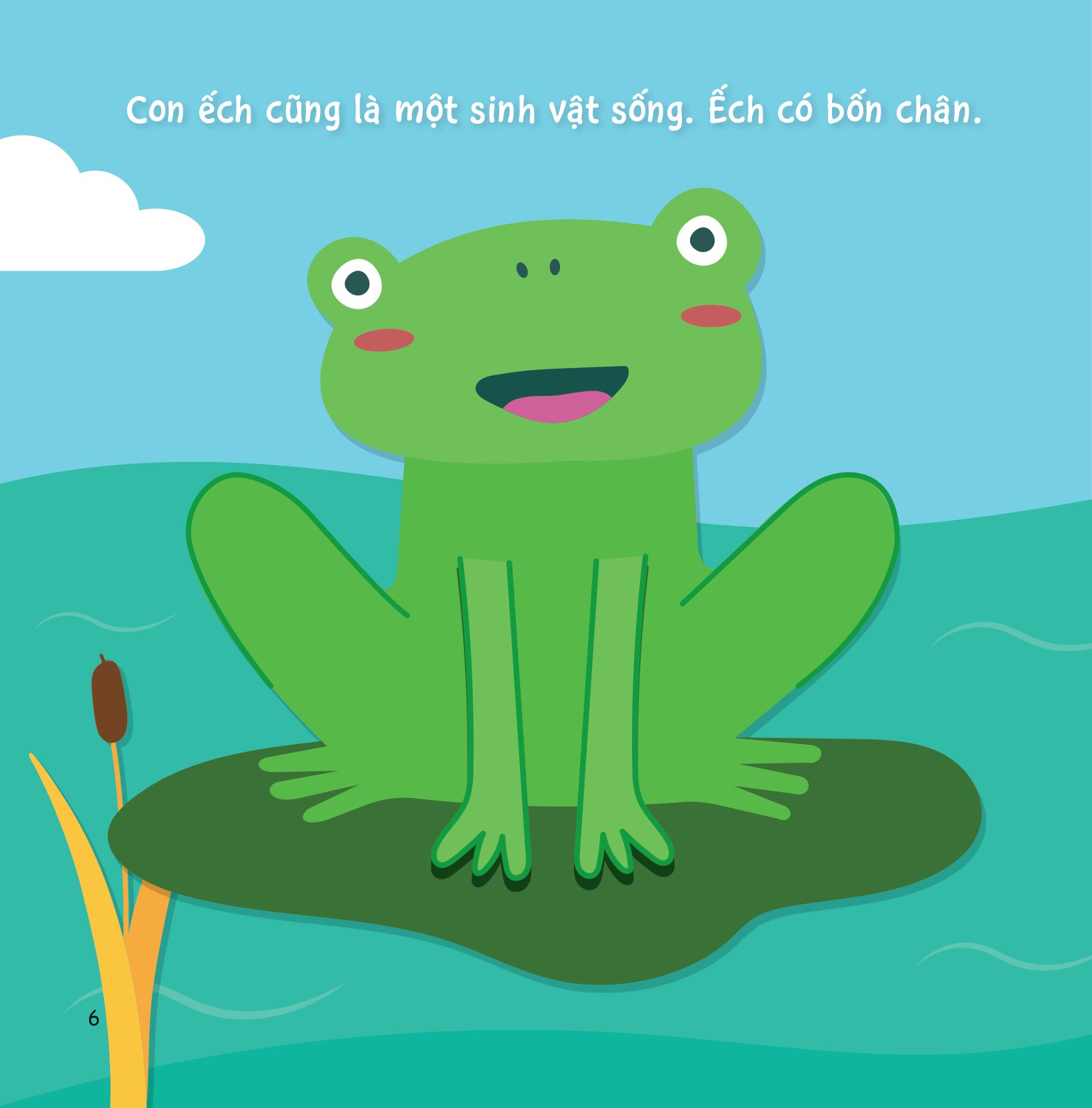 sự sinh trưởng kỳ diệu của vạn vật - vòng đời của ếch