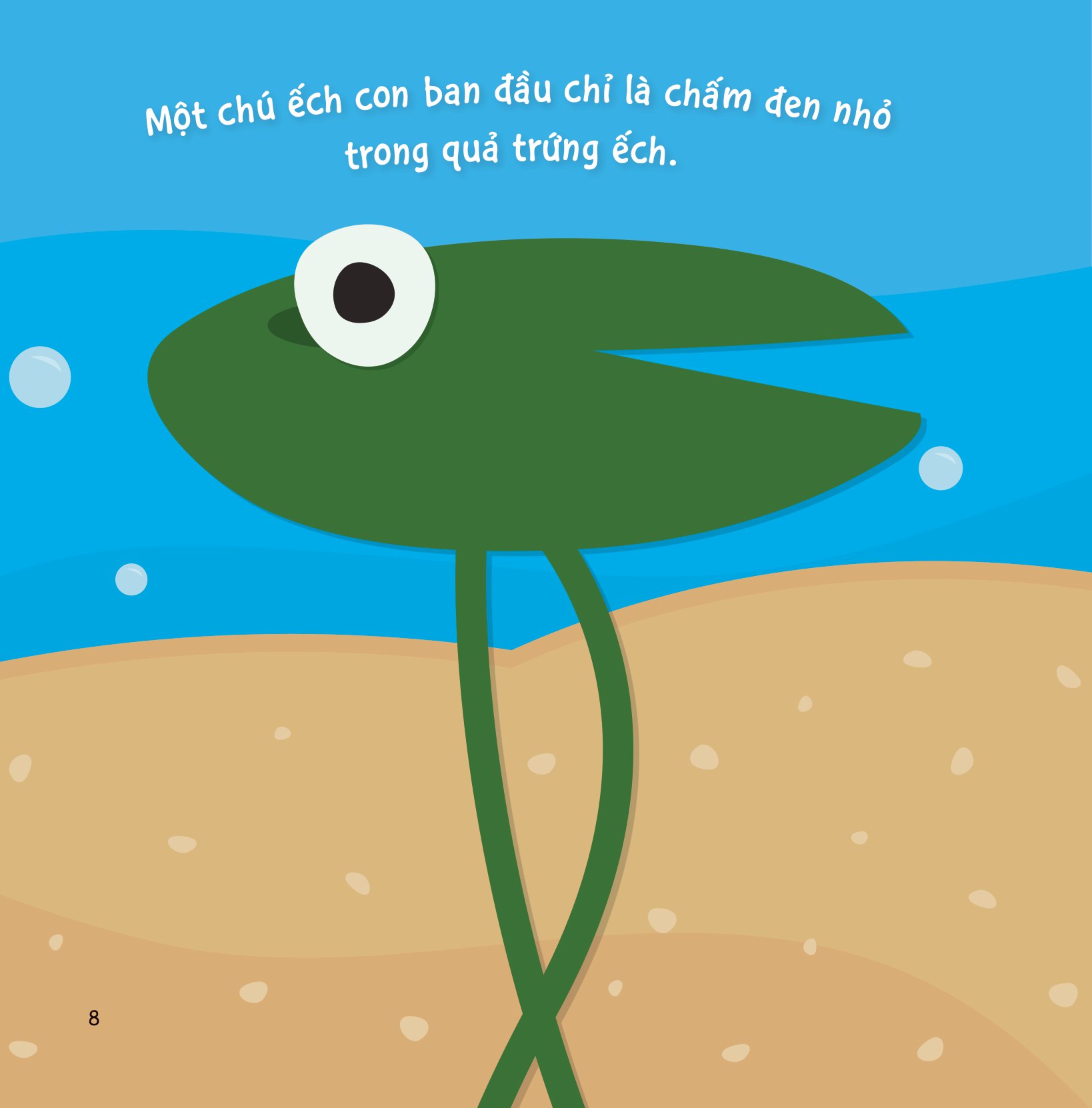 sự sinh trưởng kỳ diệu của vạn vật - vòng đời của ếch