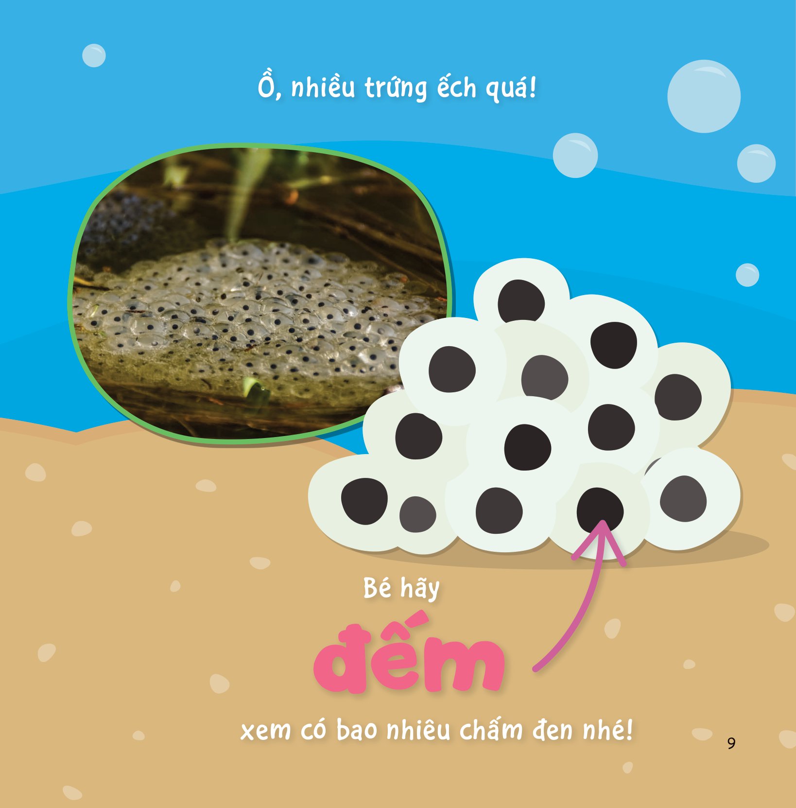 sự sinh trưởng kỳ diệu của vạn vật - vòng đời của ếch