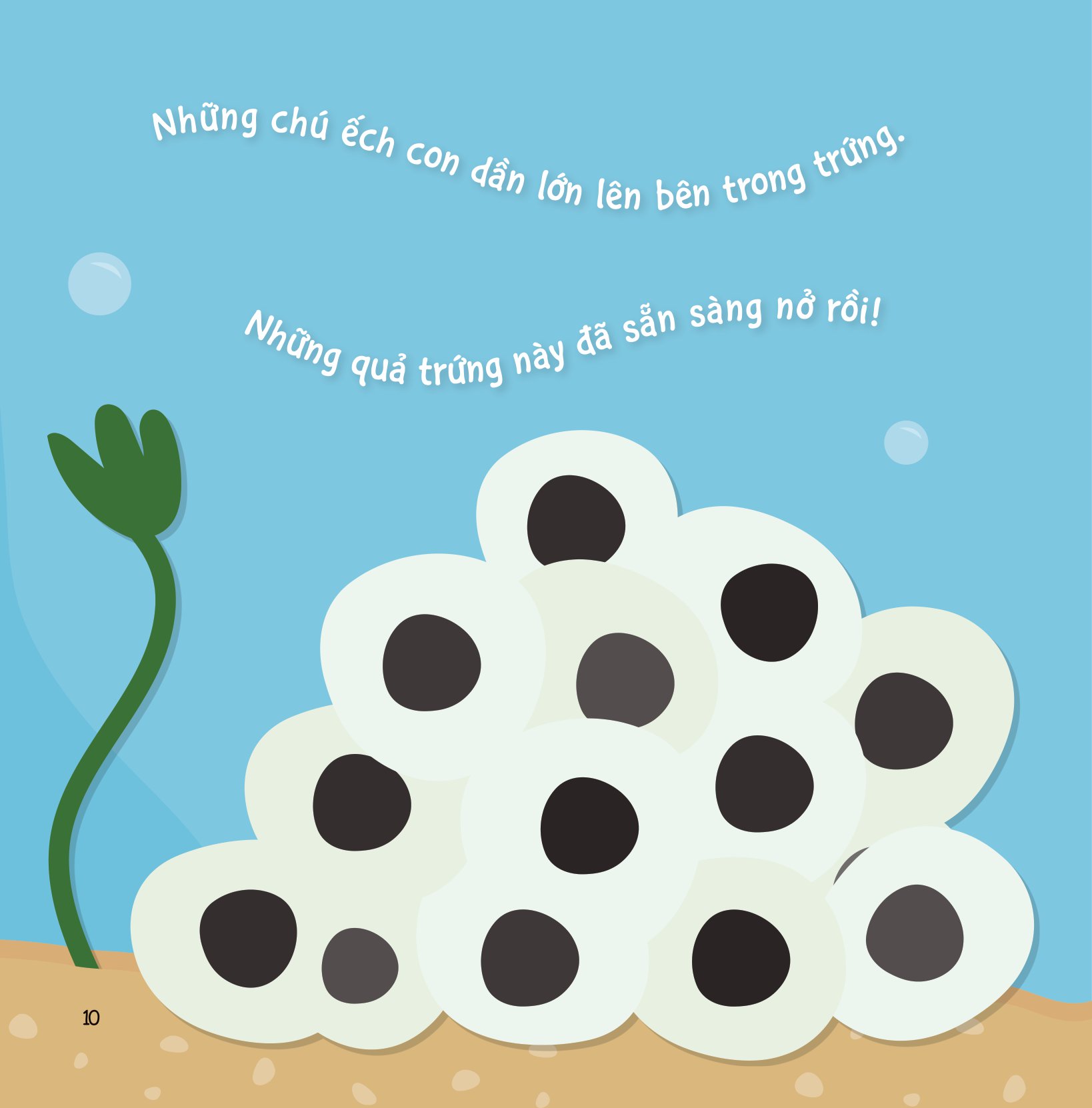 sự sinh trưởng kỳ diệu của vạn vật - vòng đời của ếch