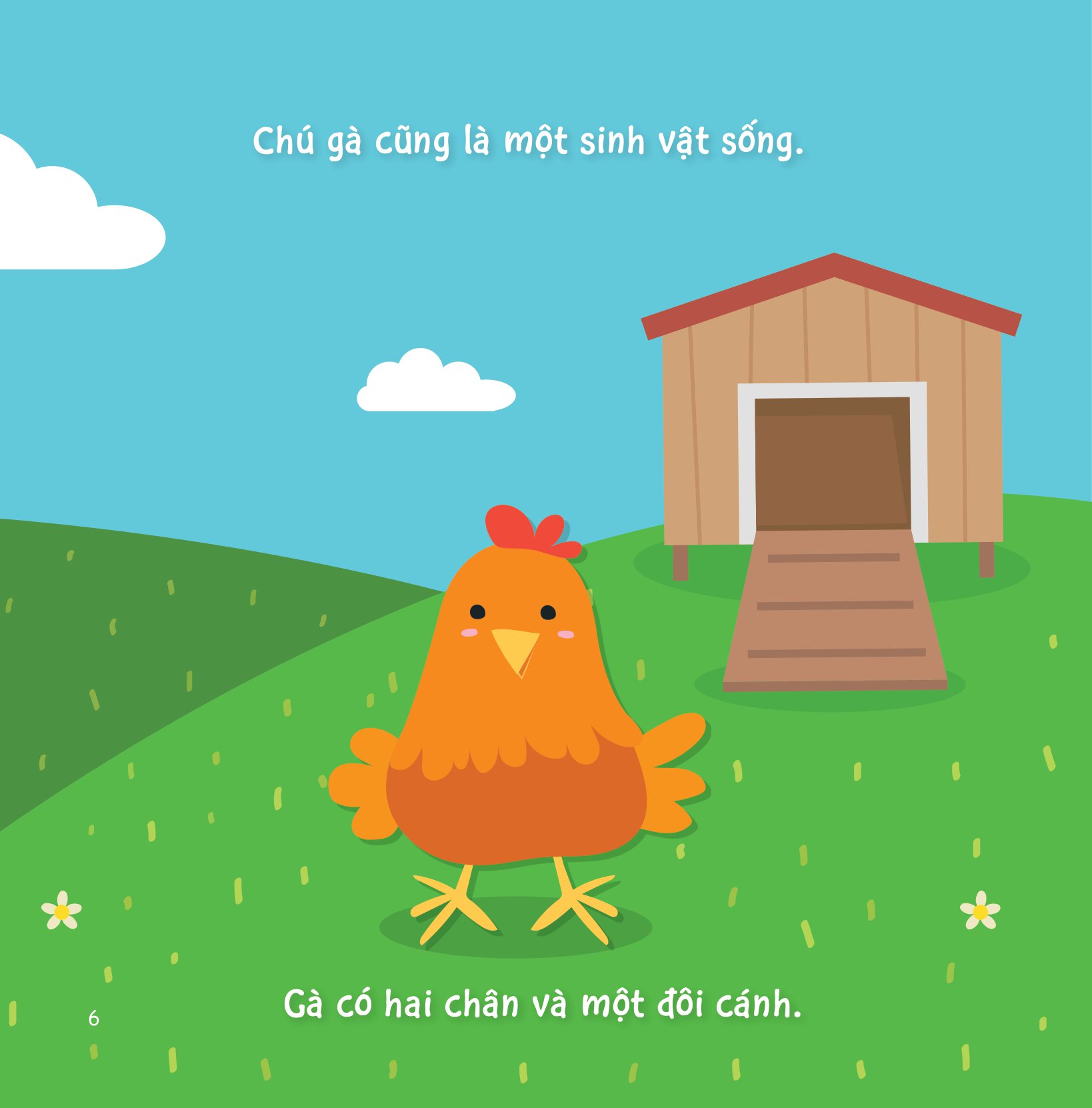 sự sinh trưởng kỳ diệu của vạn vật - vòng đời của gà