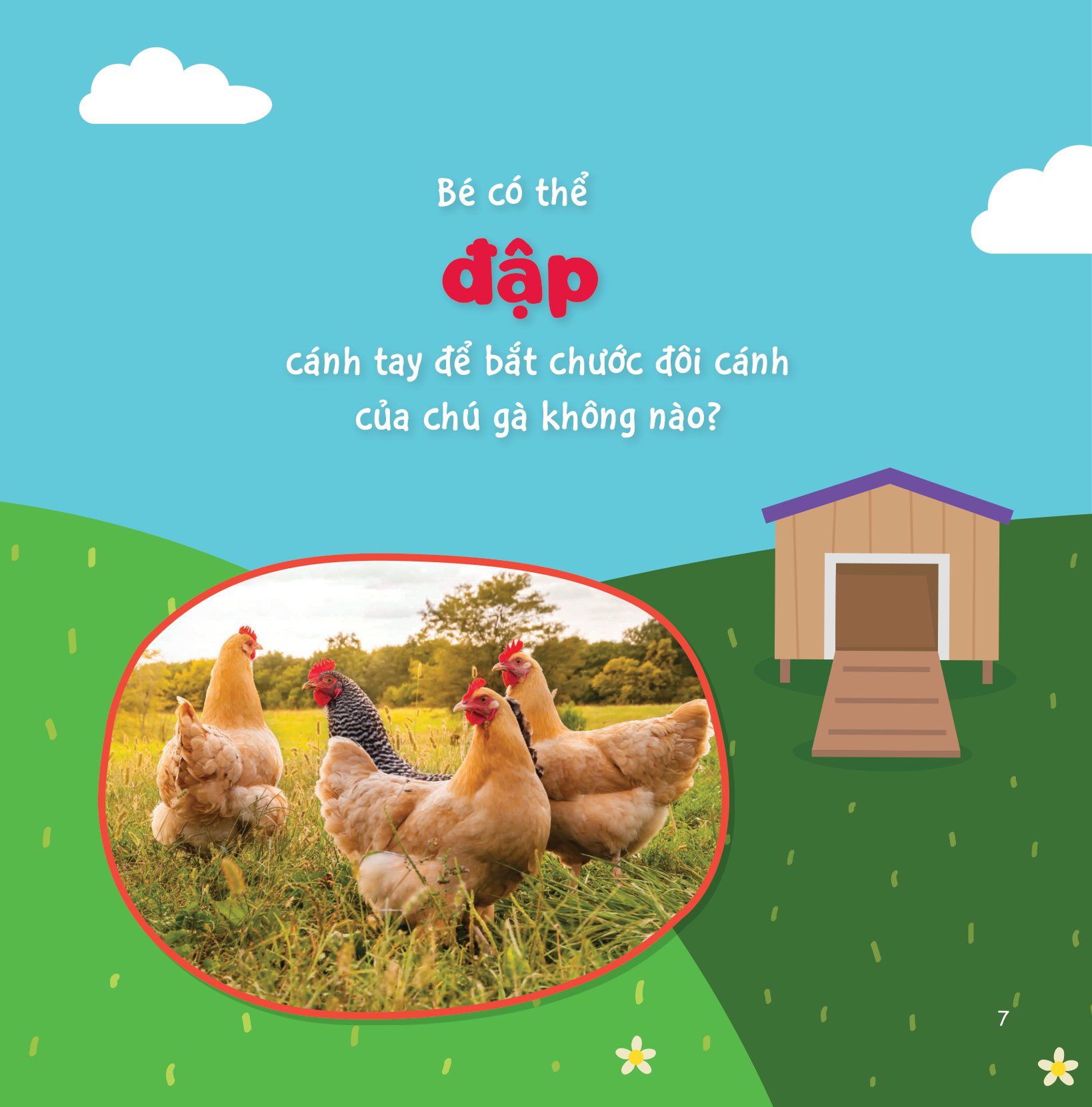 sự sinh trưởng kỳ diệu của vạn vật - vòng đời của gà