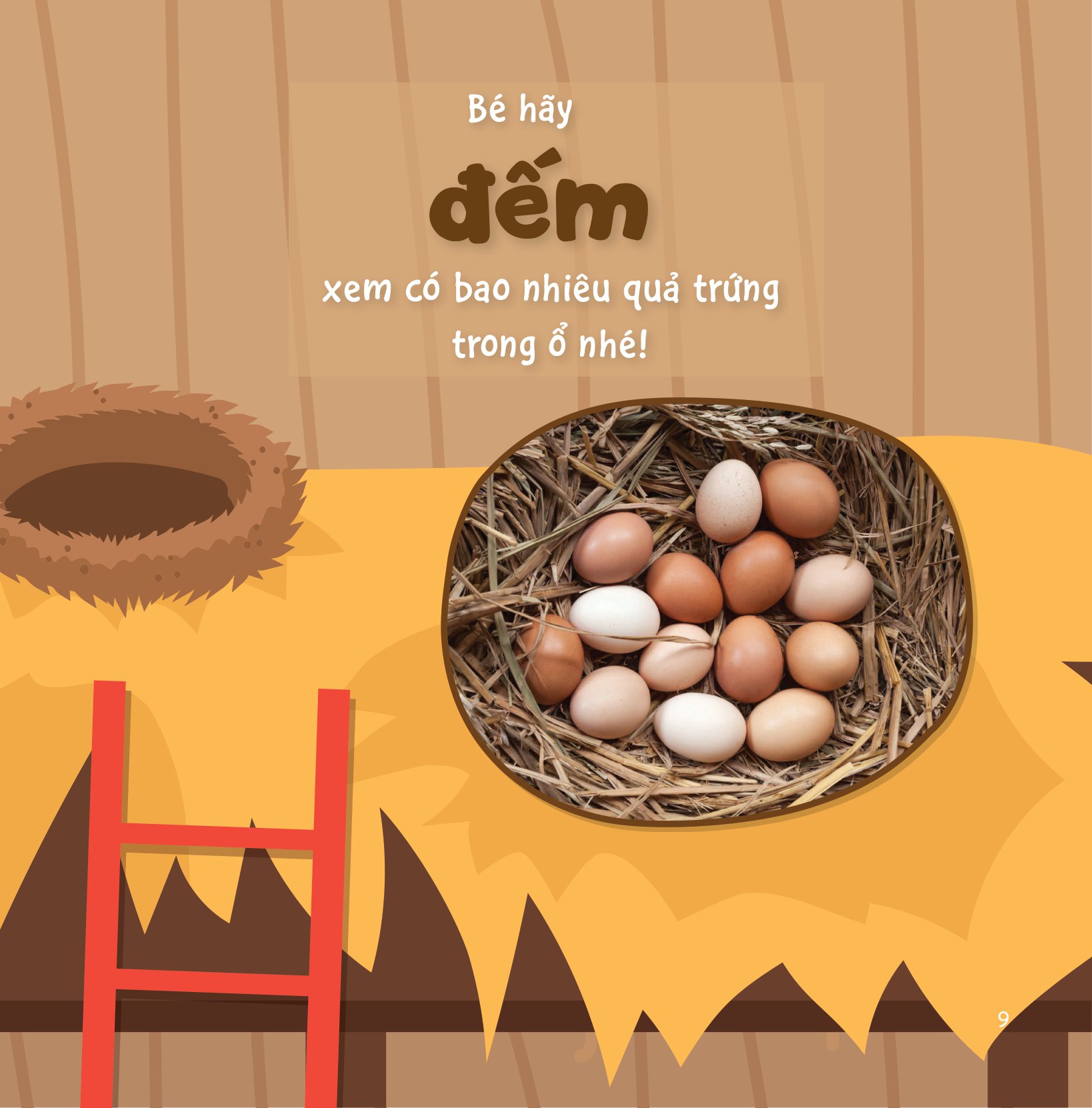 sự sinh trưởng kỳ diệu của vạn vật - vòng đời của gà