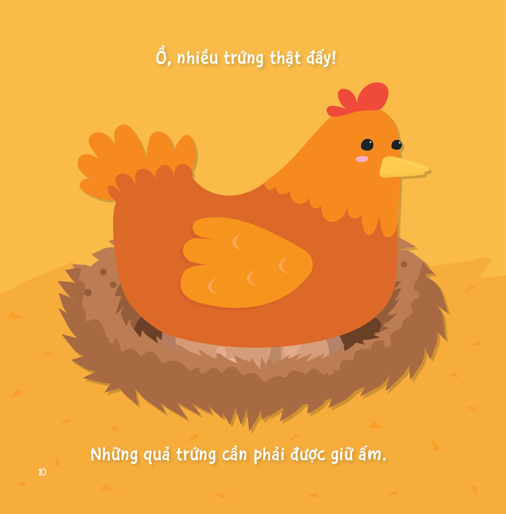 sự sinh trưởng kỳ diệu của vạn vật - vòng đời của gà