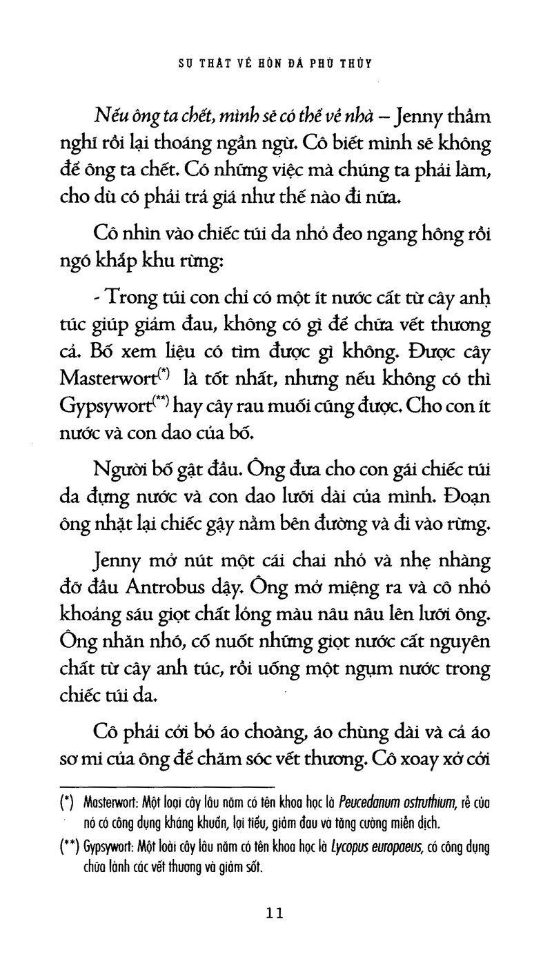 sự thật về hòn đá phù thủy