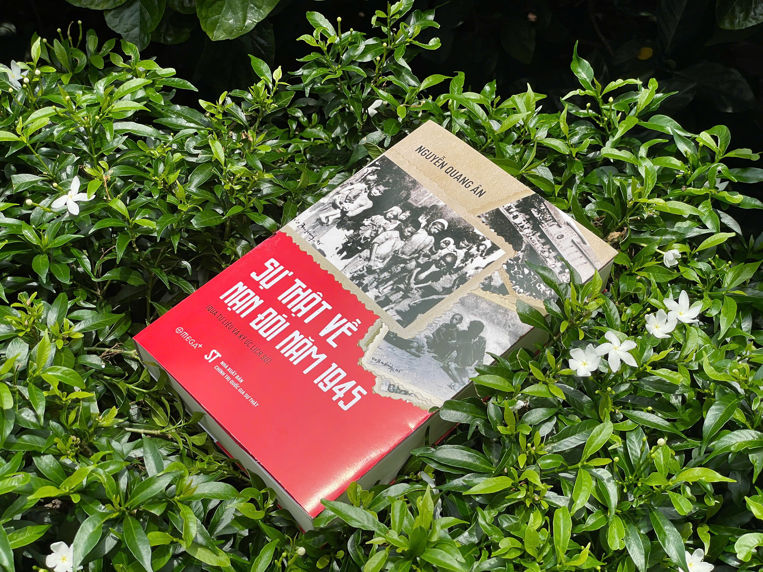 Su That Ve  Nan Doi Nam 1945 (Qua Tu Lieu Va Ky Uc Lich Su)