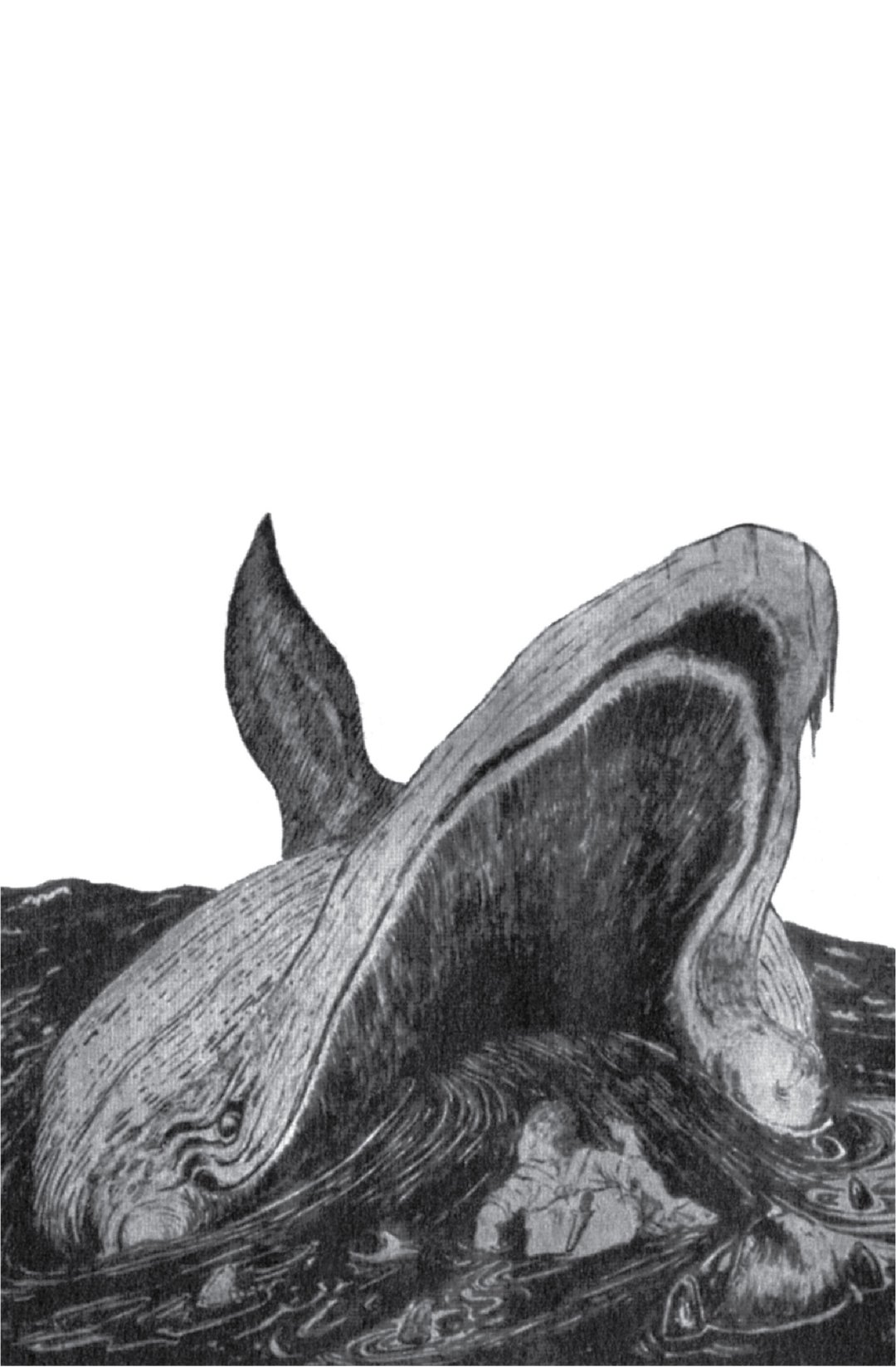 sự tích các loài vật