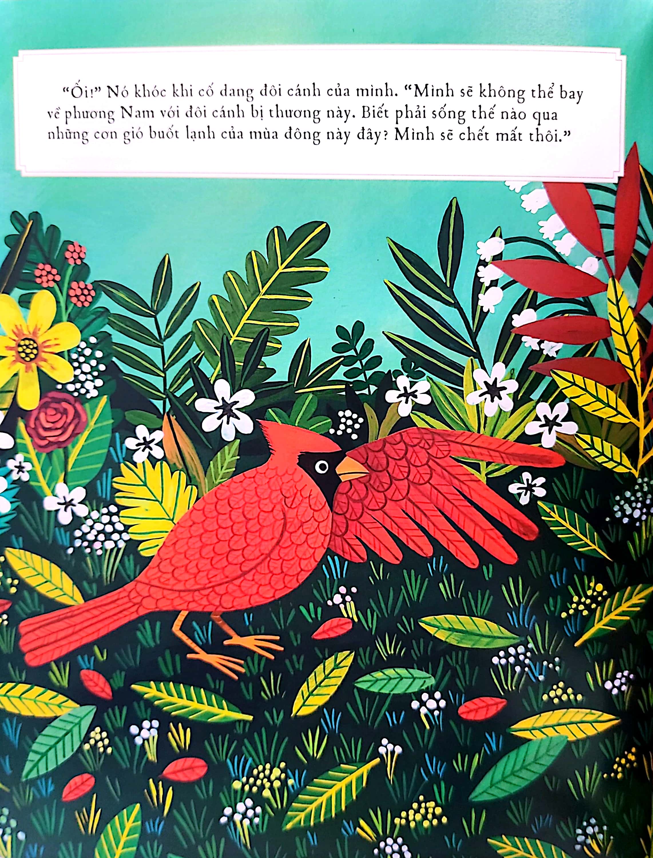 sự tích cây thường xanh