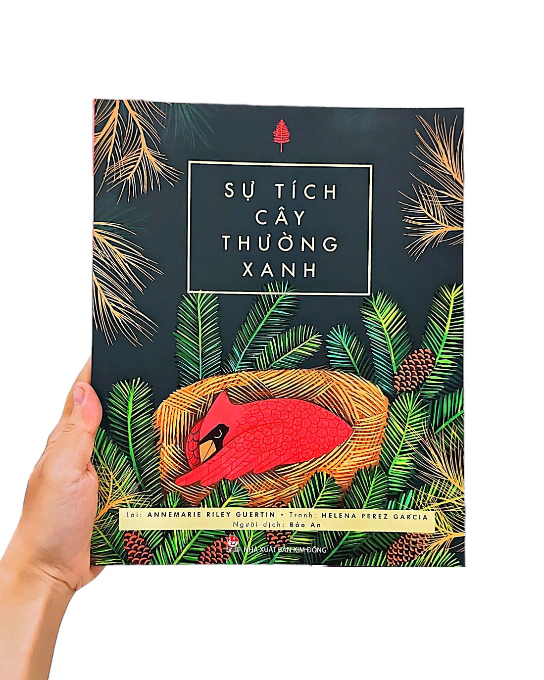 sự tích cây thường xanh