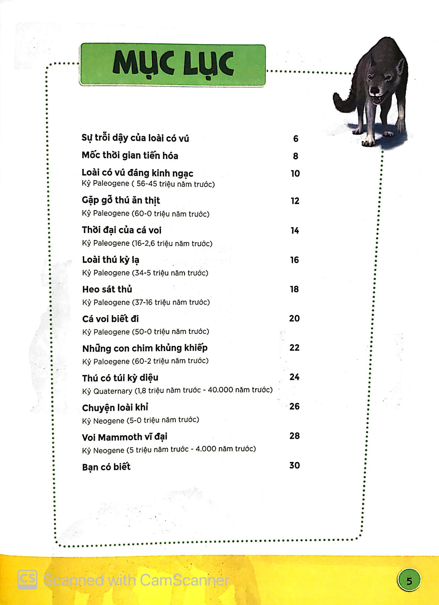 sự tiến hóa - sự trỗi dậy của loài có vú