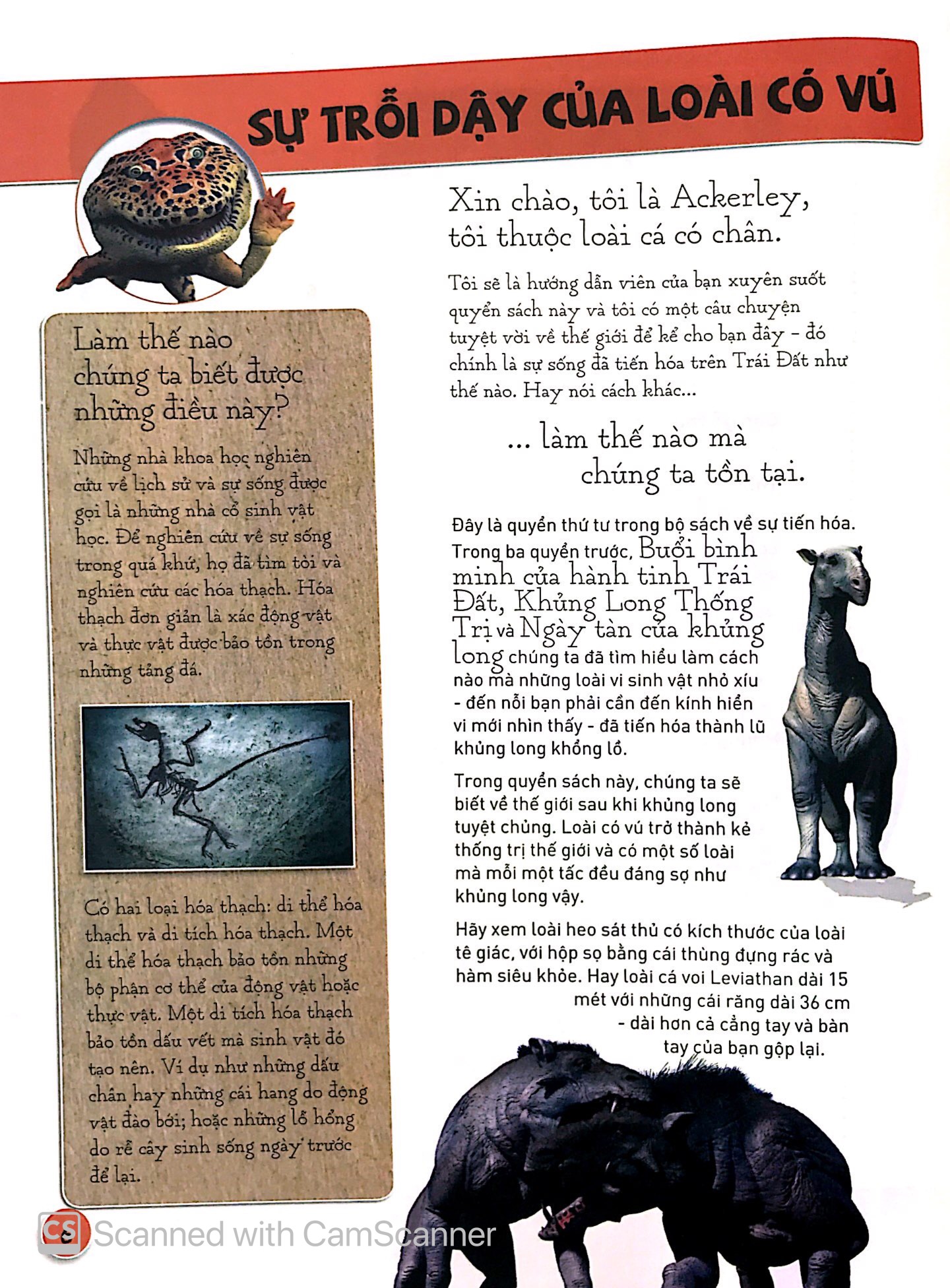 sự tiến hóa - sự trỗi dậy của loài có vú