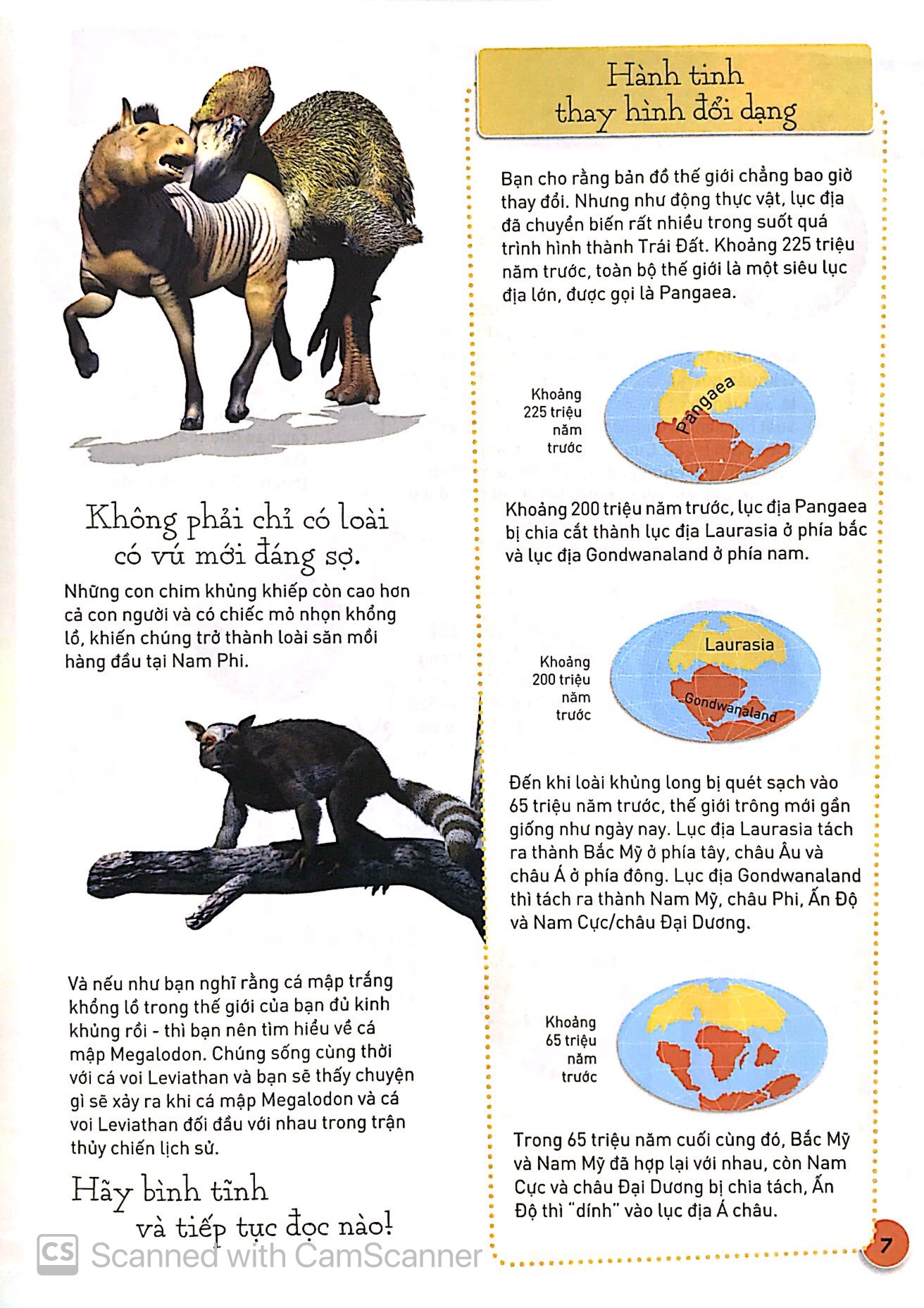 sự tiến hóa - sự trỗi dậy của loài có vú