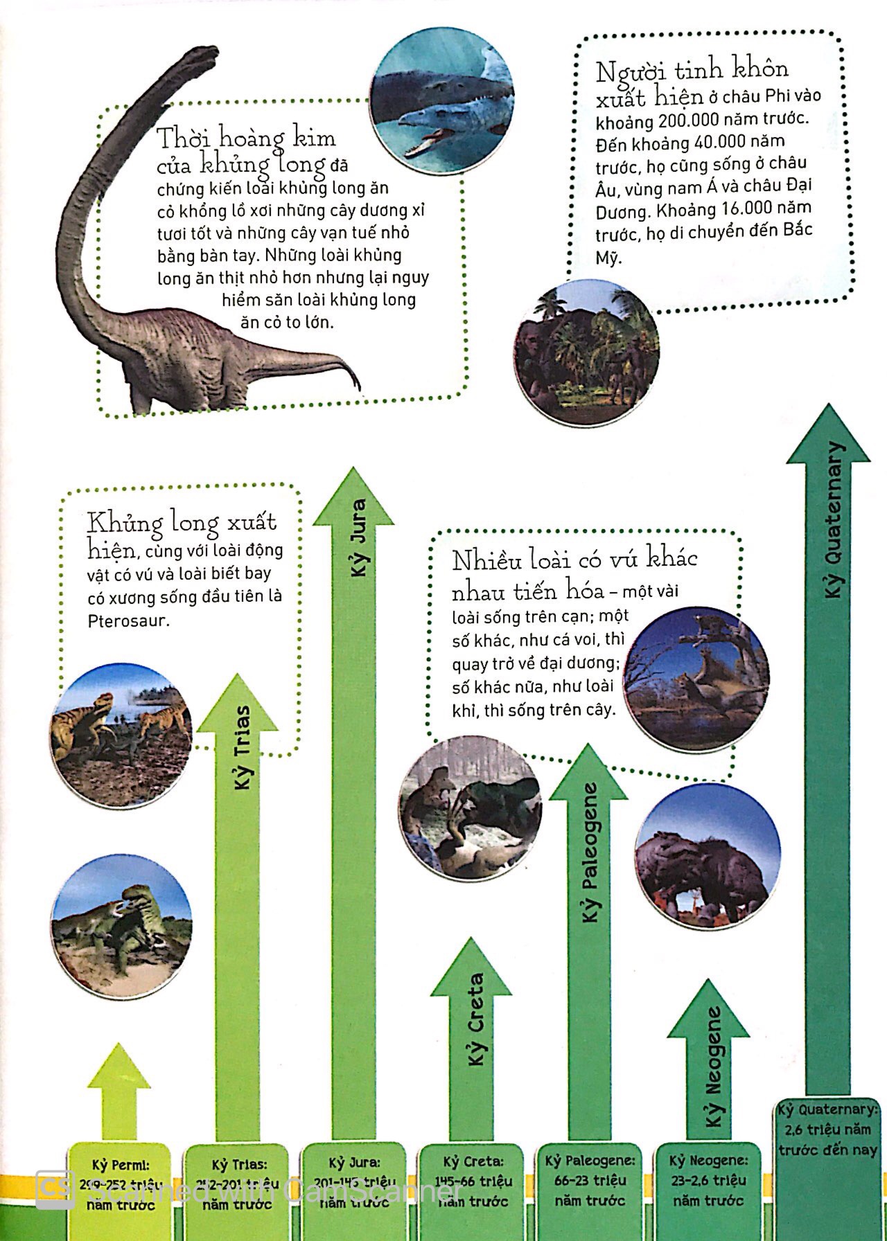 sự tiến hóa - sự trỗi dậy của loài có vú