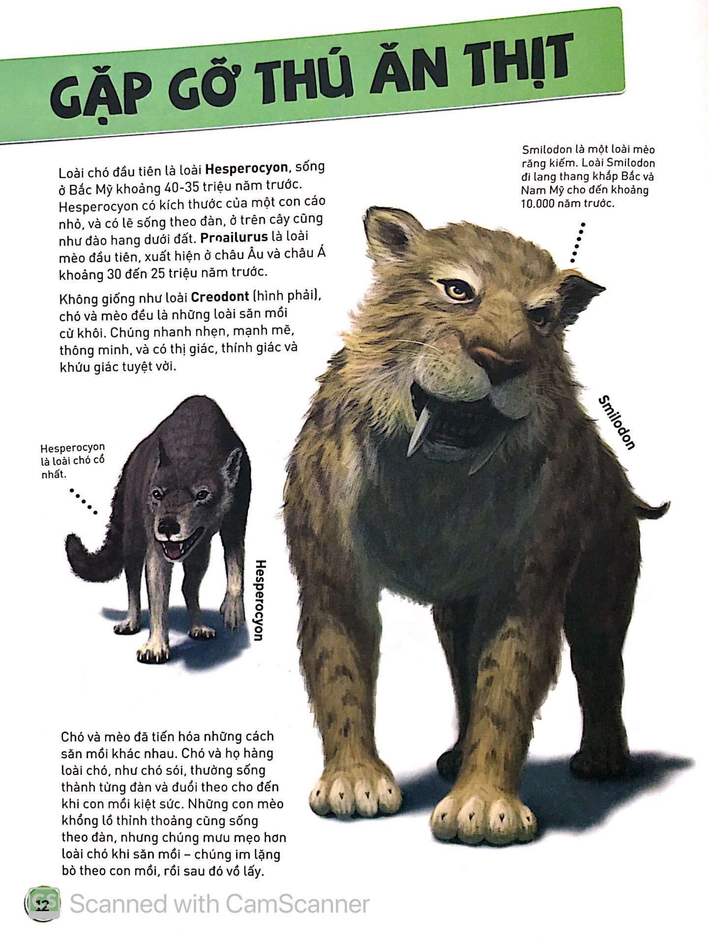 sự tiến hóa - sự trỗi dậy của loài có vú