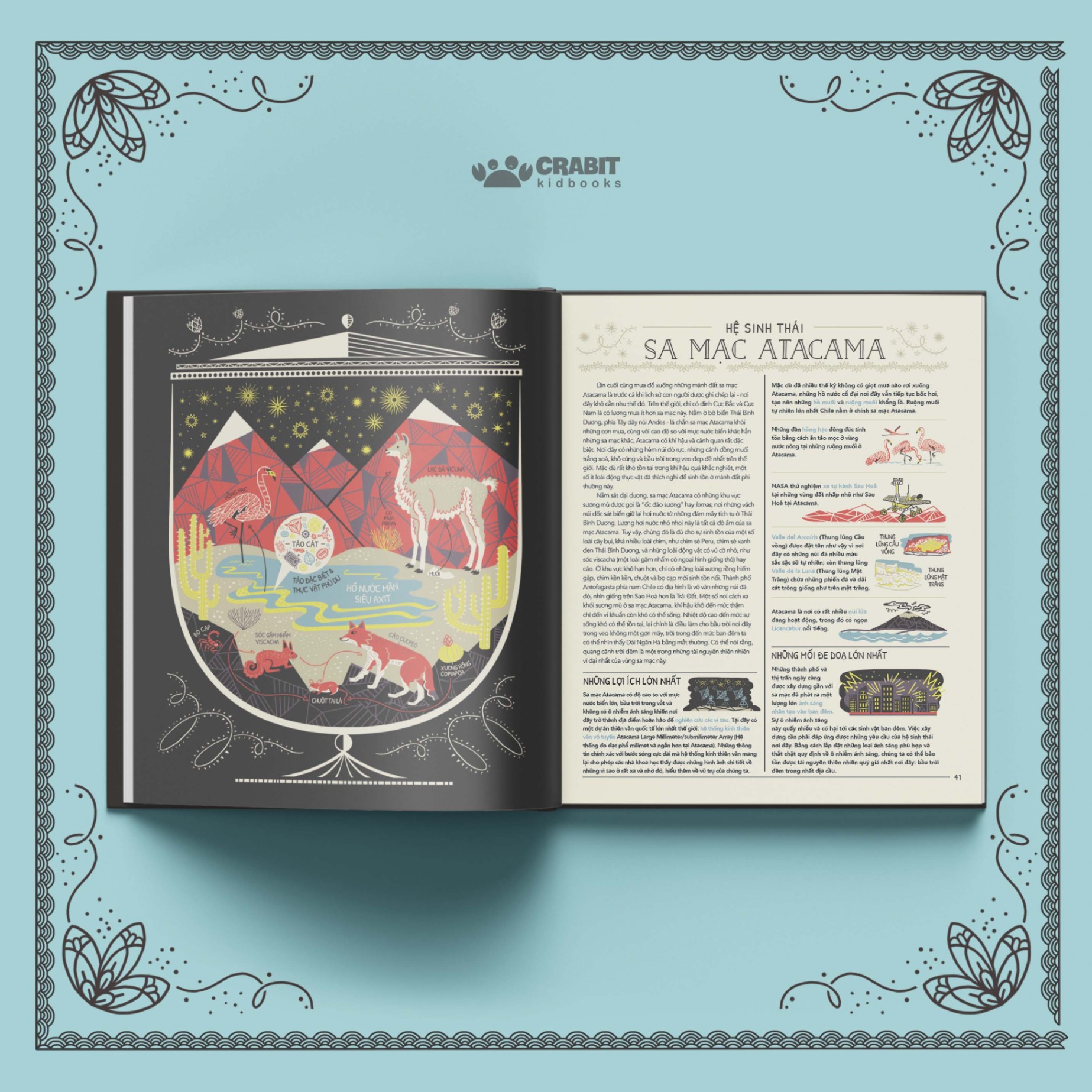 Su Van Hanh Ky Dieu Cua Trai Dat Hieu Ve The Gioi Cua Chung Ta Va Cac He Sinh Thai - Bia Cung