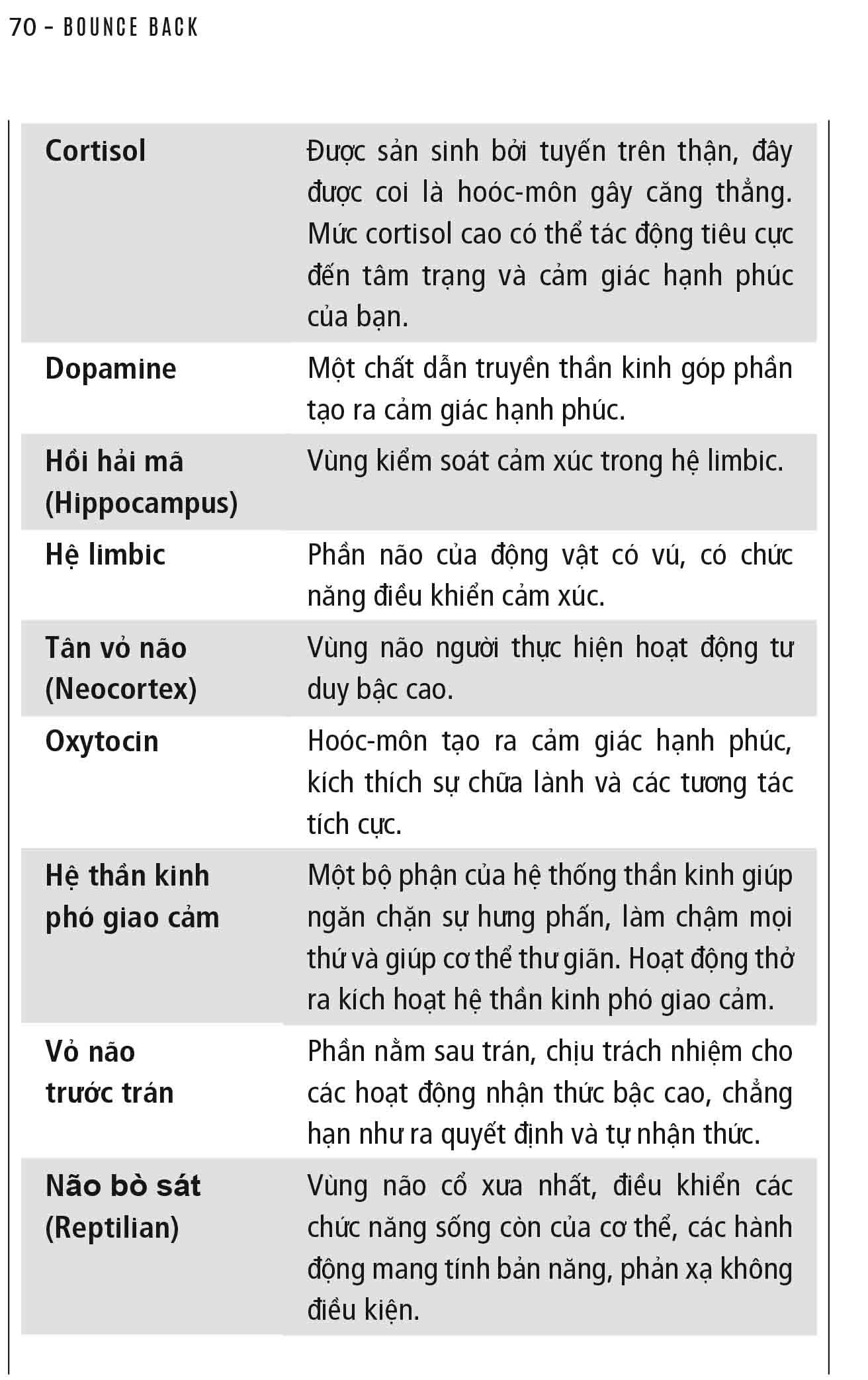 sức bật tinh thần - xuyên qua thất bại để thành công - bounce back