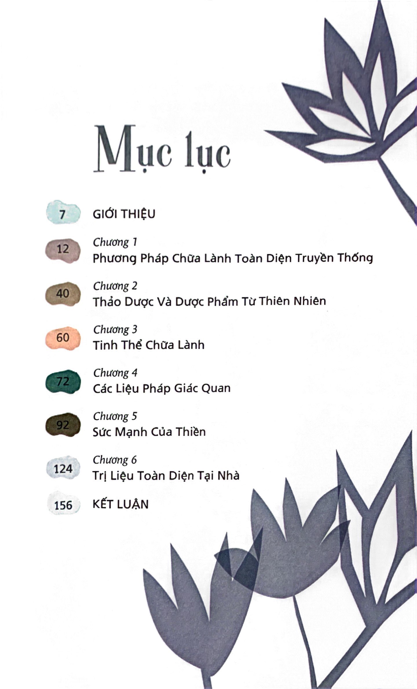 sức mạnh chữa lành từ tự nhiên và thiền định