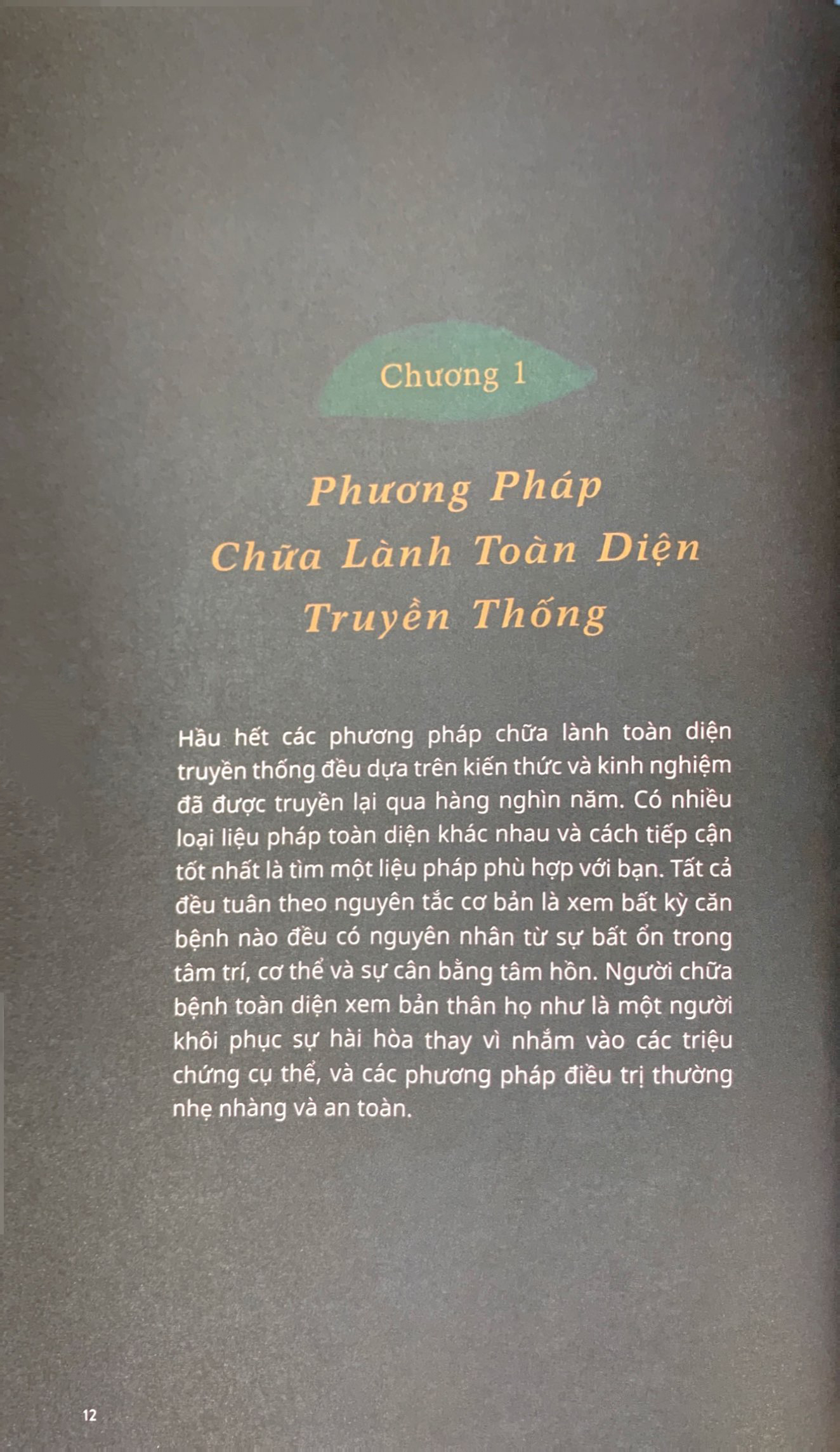 sức mạnh chữa lành từ tự nhiên và thiền định