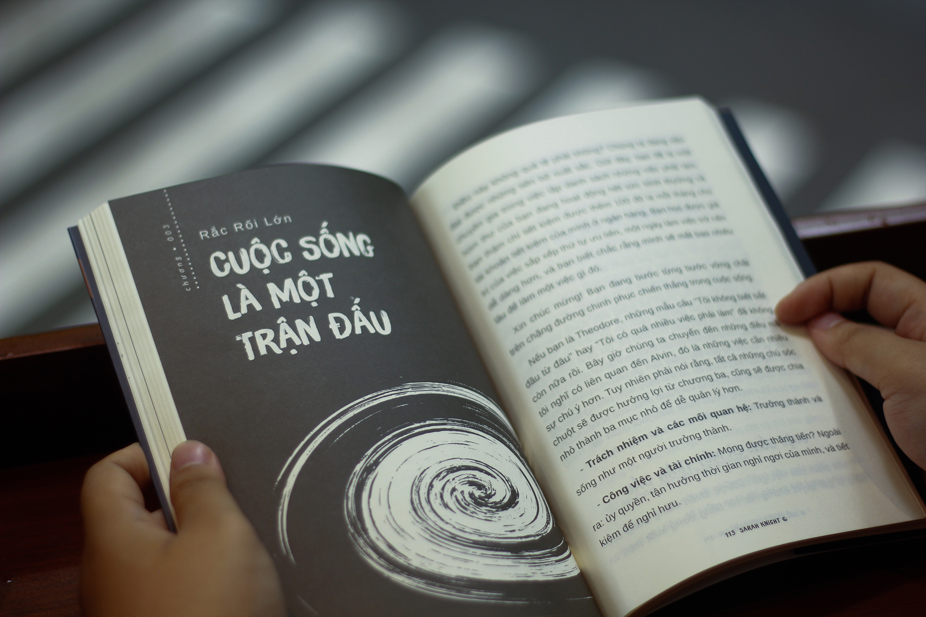 sức mạnh của sự tiêu cực