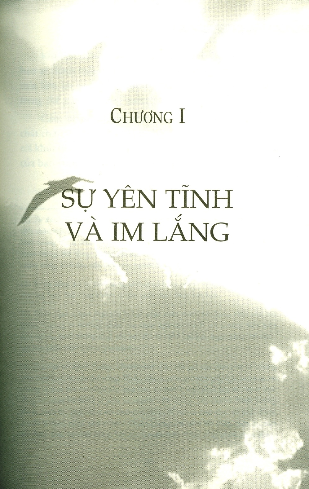 sức mạnh của tĩnh lặng (tái bản 2020)