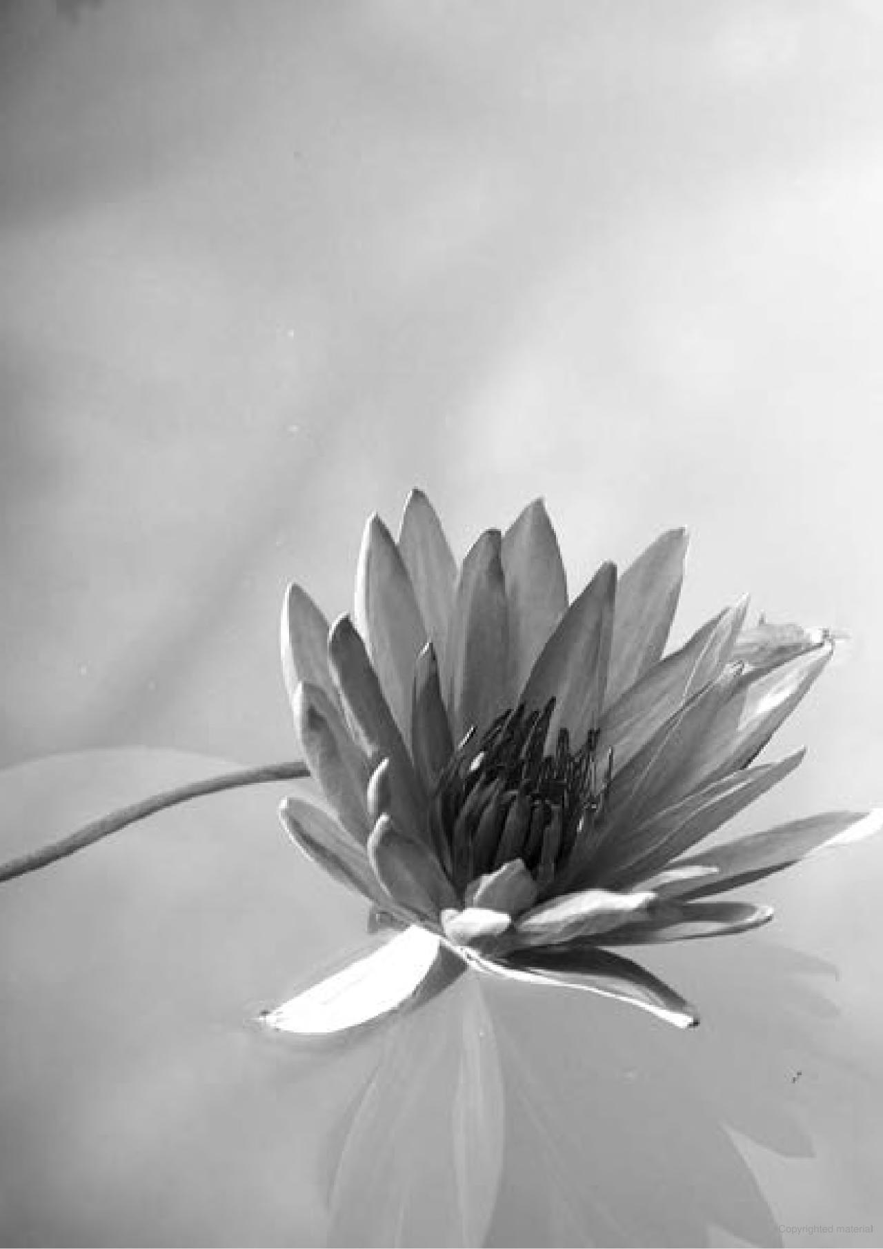 sức mạnh lòng kiên nhẫn (tái bản)