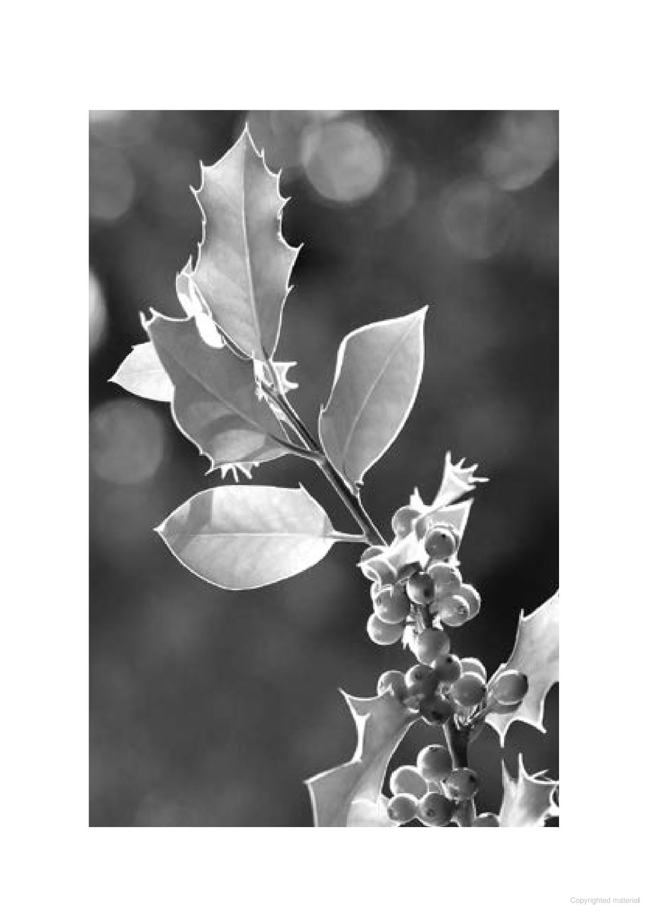 sức mạnh lòng kiên nhẫn (tái bản)