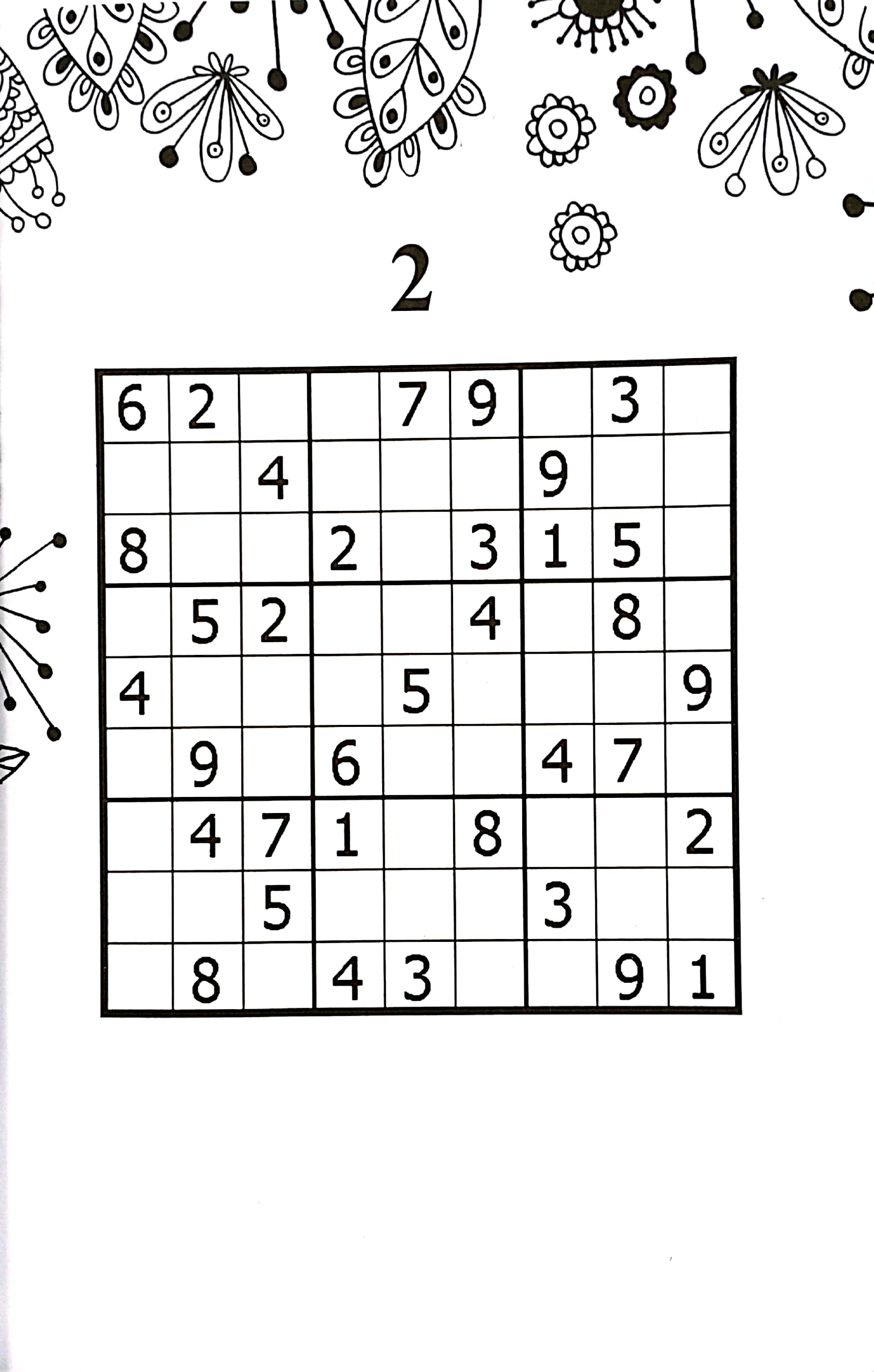 sudoku puzzles