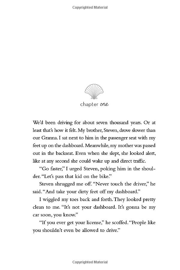 summer i turned pretty book 1