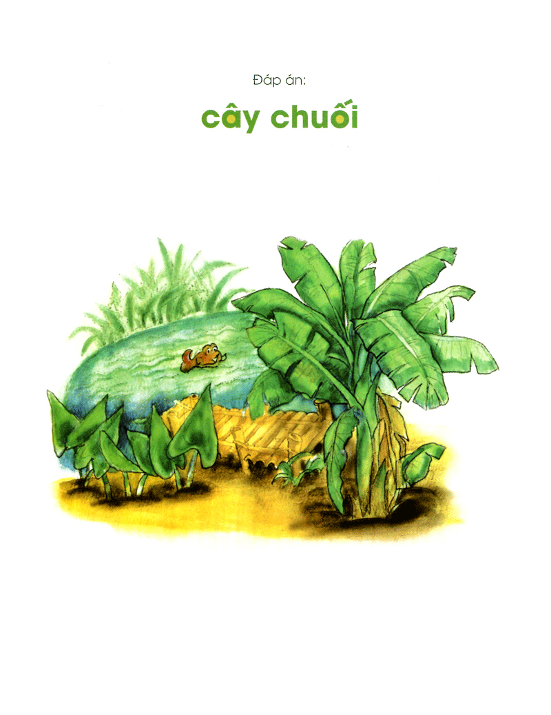 sừng sửng mà đứng giữa đường