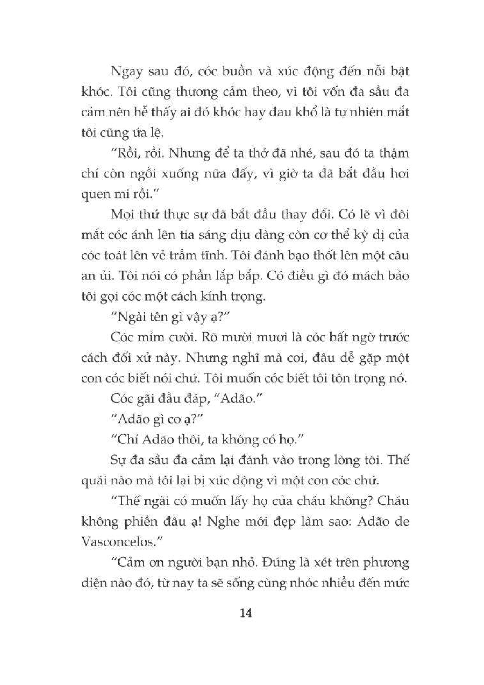 sưởi ấm mặt trời - phần tiếp theo của cây cam ngọt của tôi