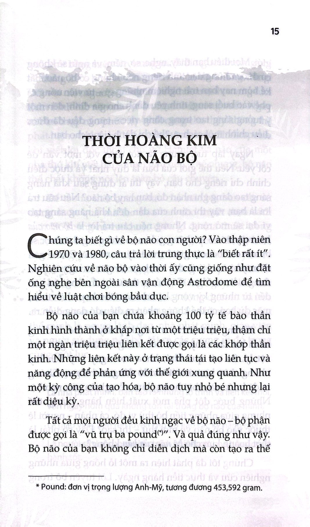 super brain - bộ não siêu phàm (tái bản 2025)