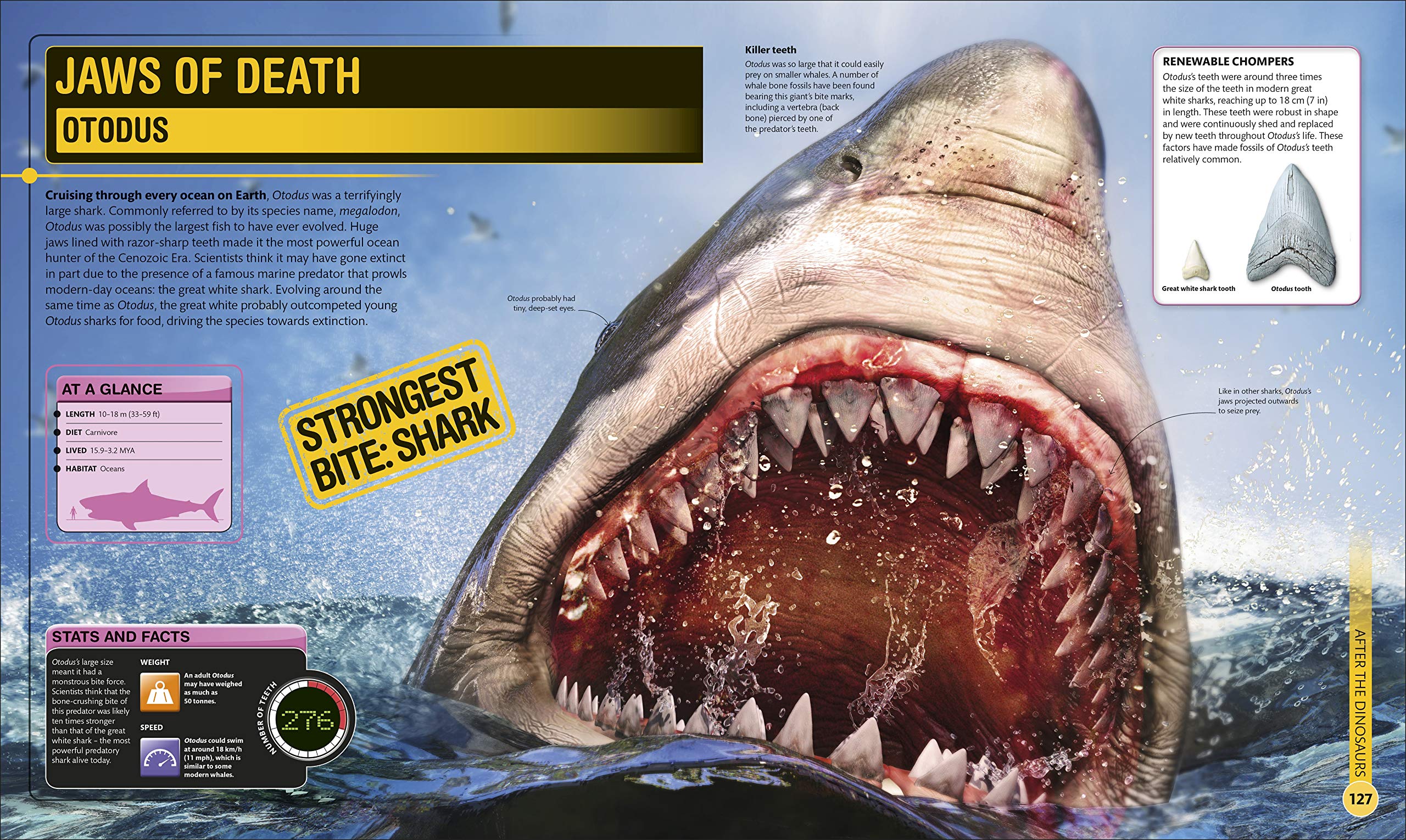 superdinosaur: the biggest, fastest, coolest prehistoric creatures