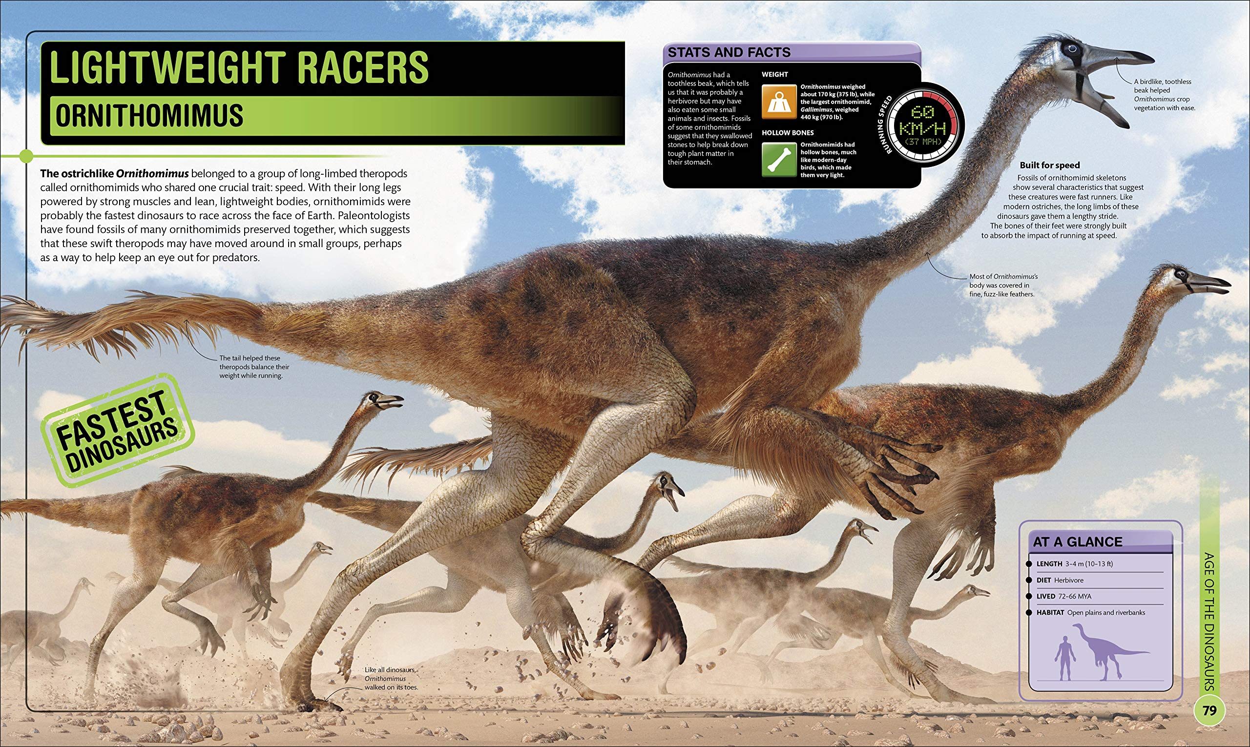 superdinosaur: the biggest, fastest, coolest prehistoric creatures