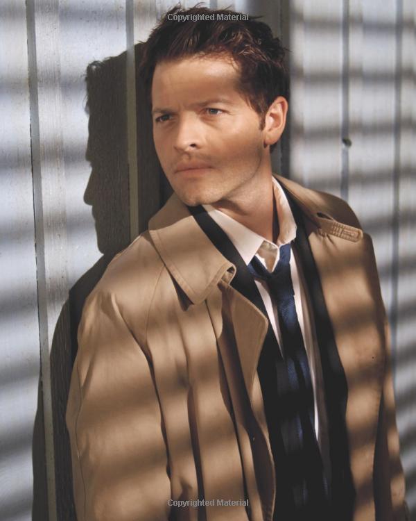 supernatural: the official cookbook: burgers, pies and other (science fiction fantasy)