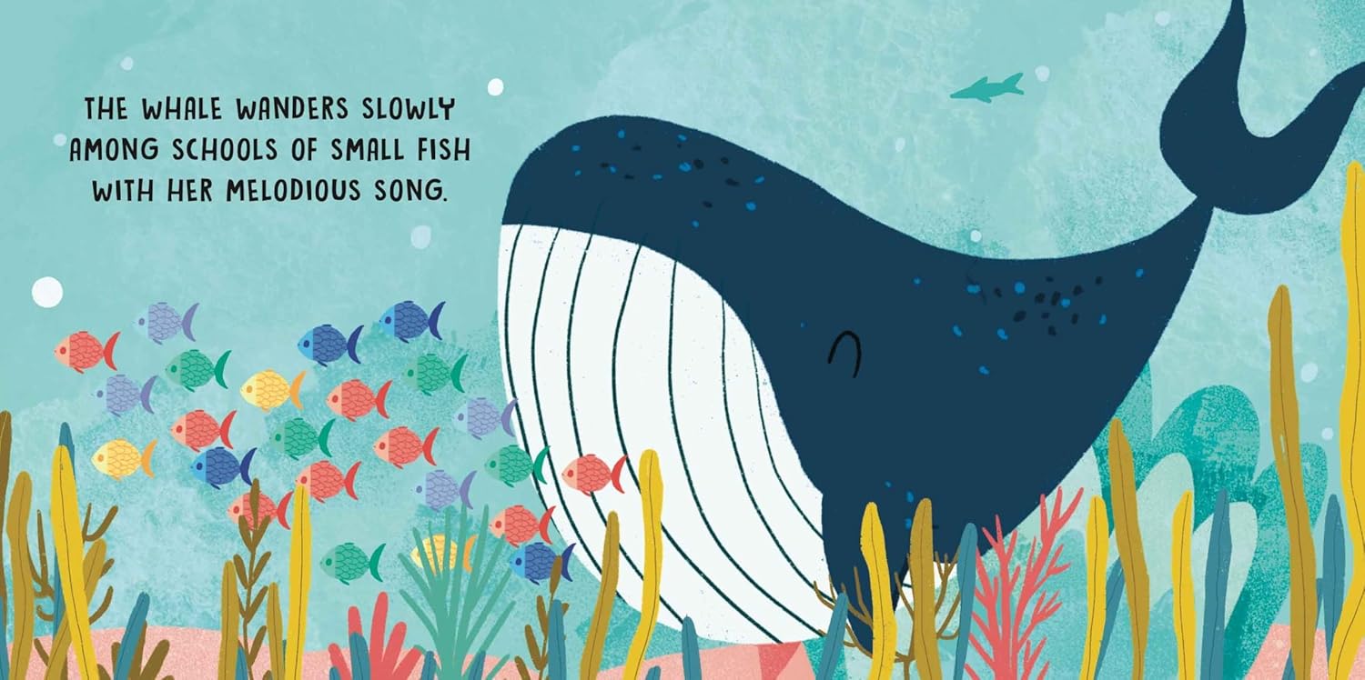 sweet sounds stories - the sea