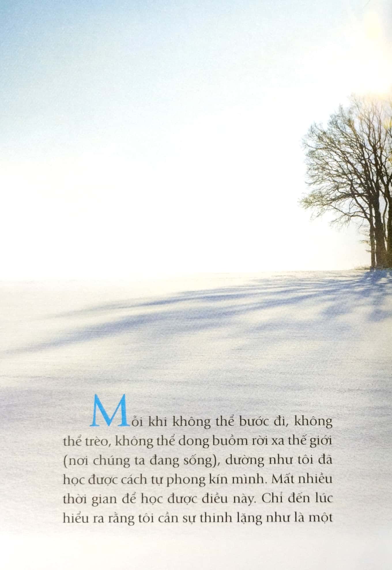 ta dại ta tìm nơi vắng vẻ (tái bản 2022)