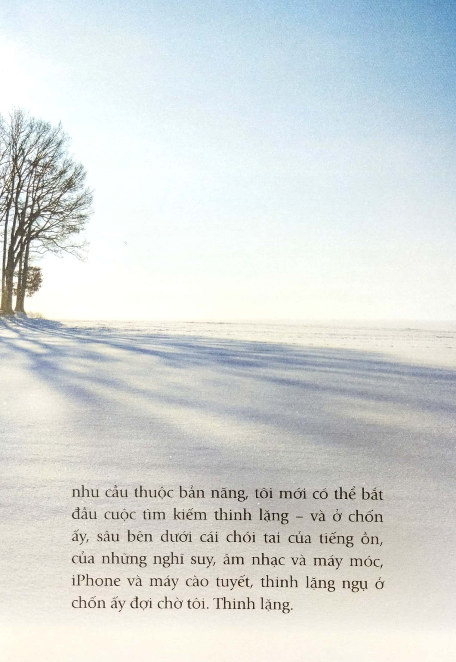 ta dại ta tìm nơi vắng vẻ (tái bản 2022)