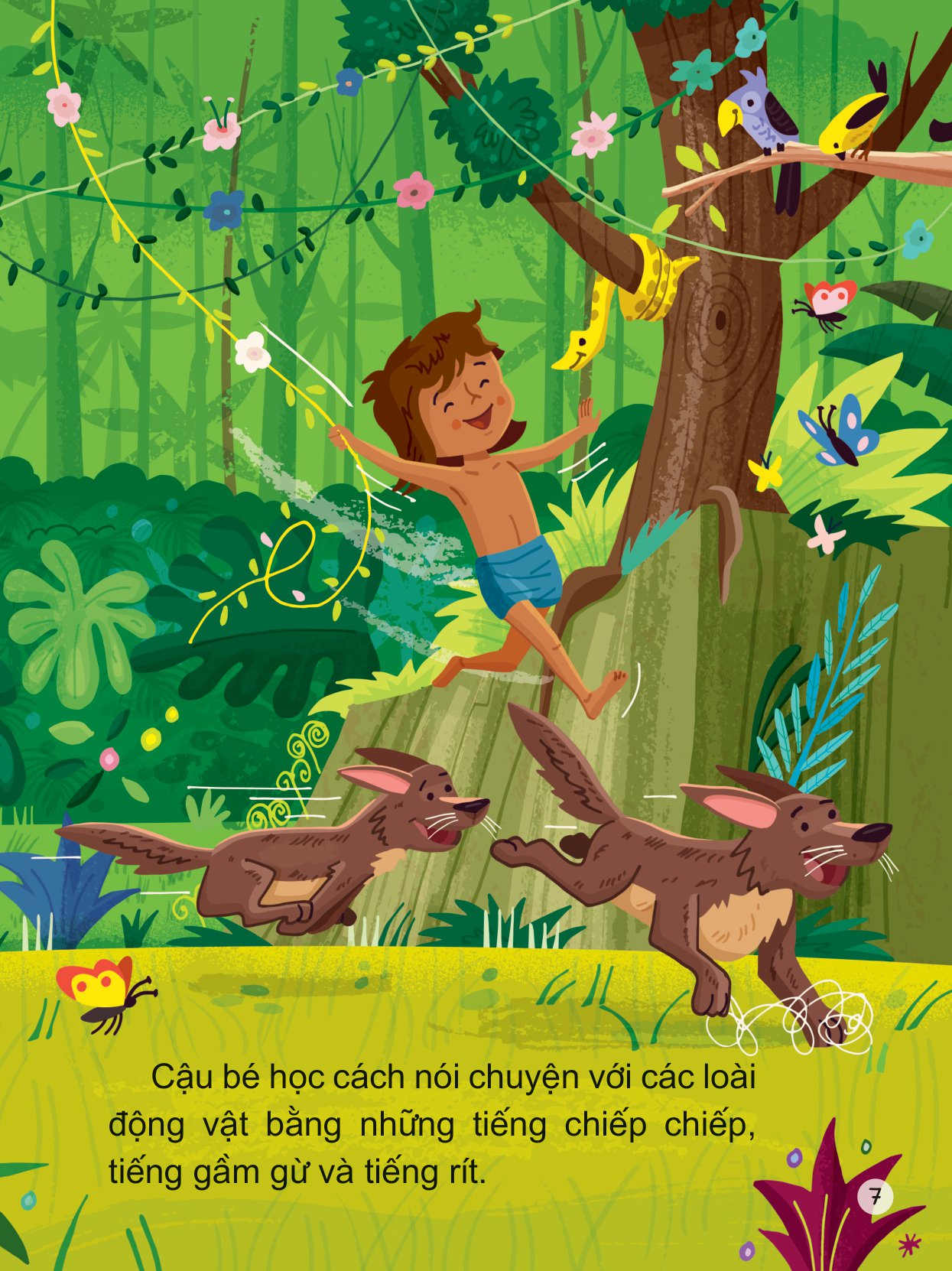 tác phẩm kinh điển dành cho thiếu nhi - câu chuyện rừng xanh